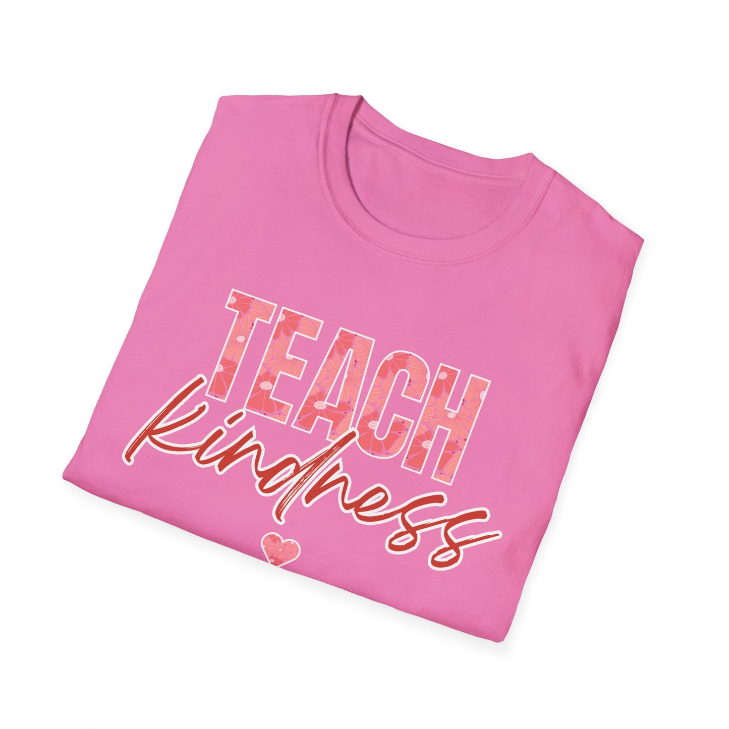 Teach Kind ness Teacher T-Shirt
