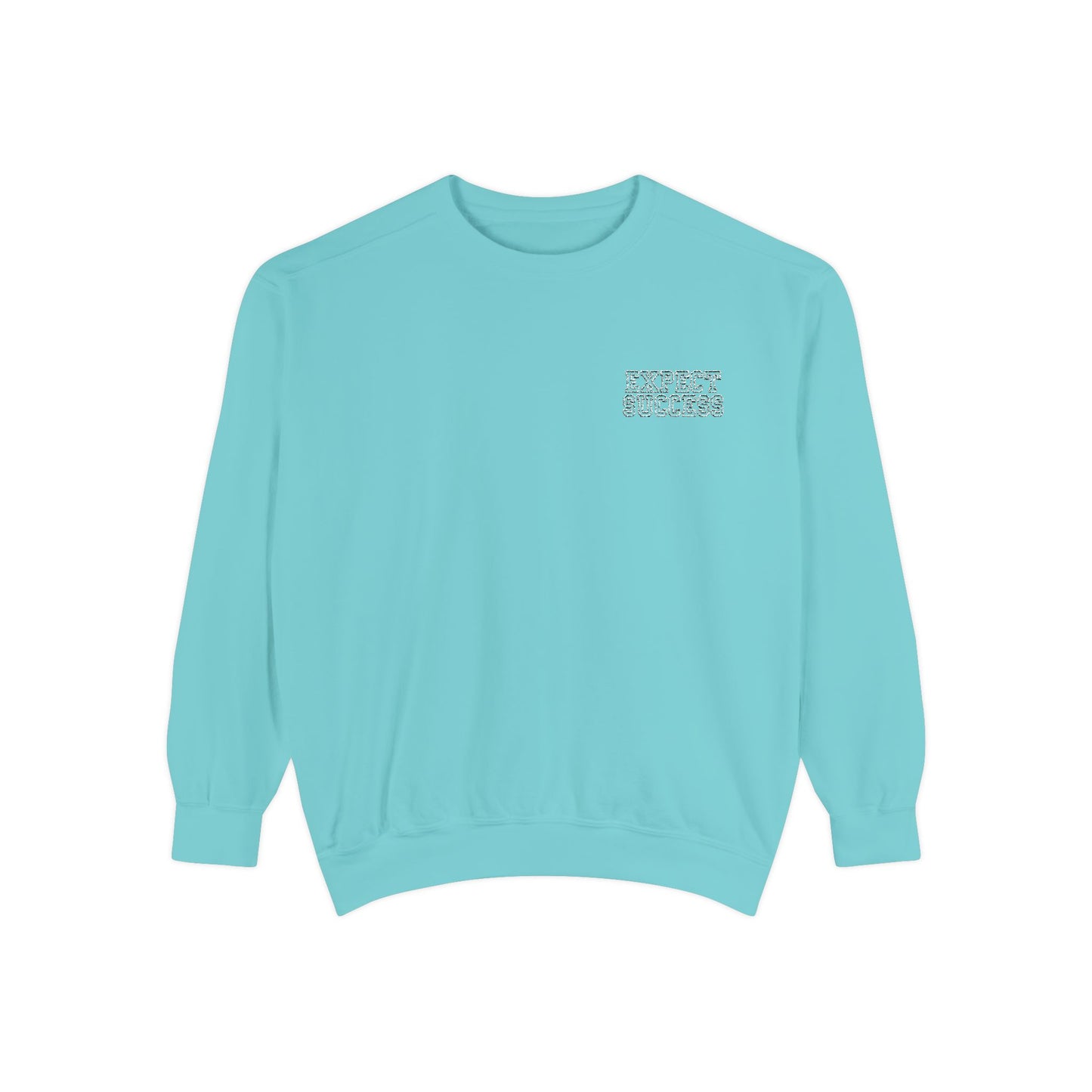 WFE- EXPECT SUCCESS- Embroidered Garment-Dyed Unisex Sweatshirt