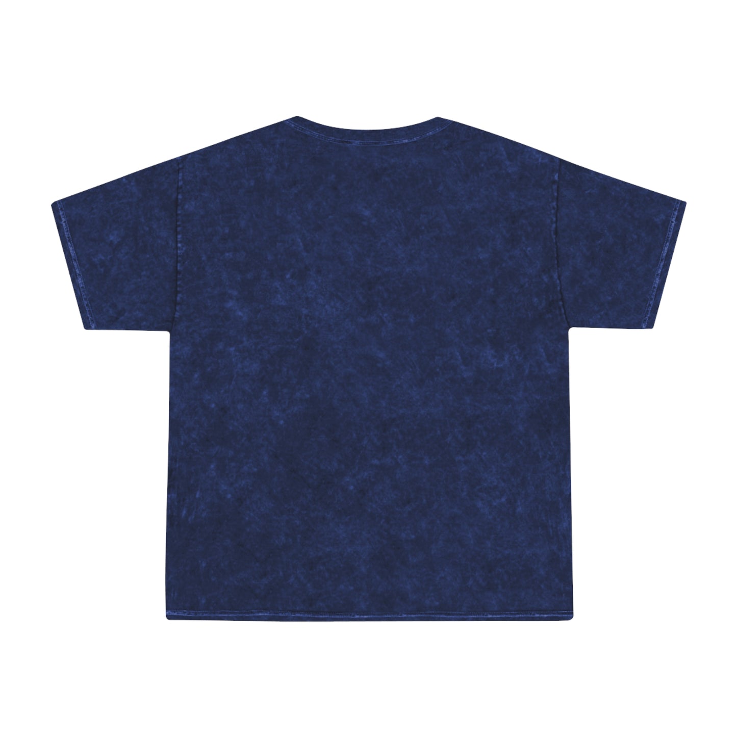 Little Leaders Unisex Mineral Wash T-Shirt