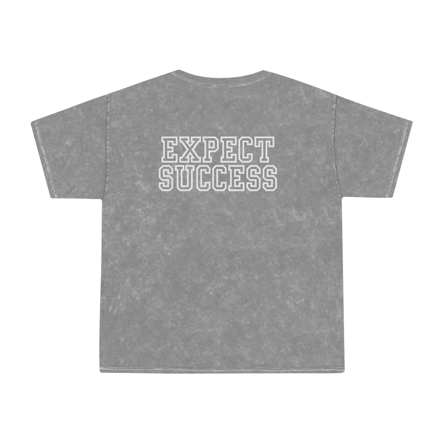 William Floyd Elementary Mineral Wash T-Shirt - Expect Success