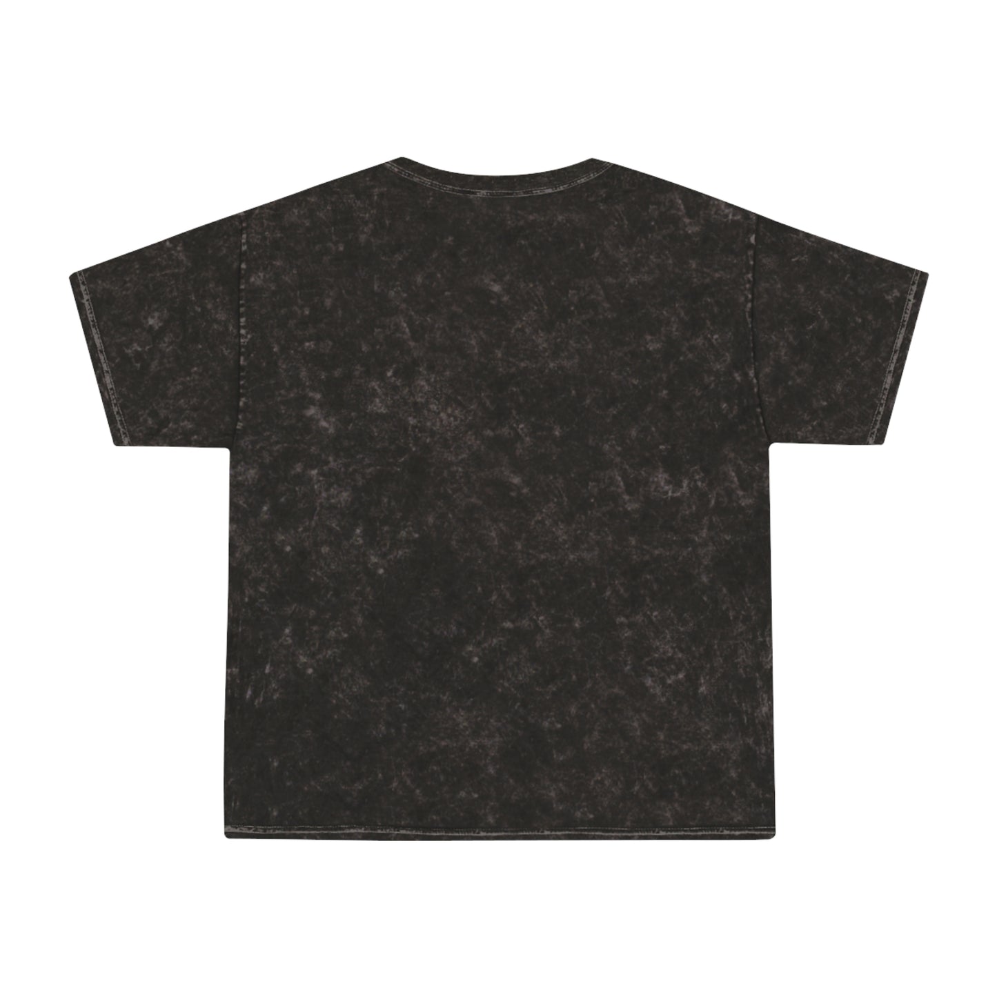 Little Leaders Unisex Mineral Wash T-Shirt