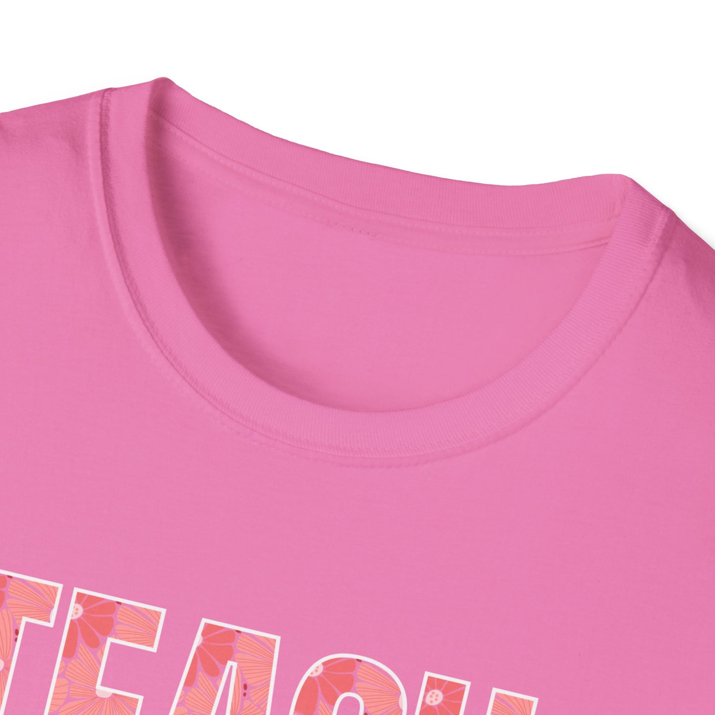 Teach Kind ness Teacher T-Shirt