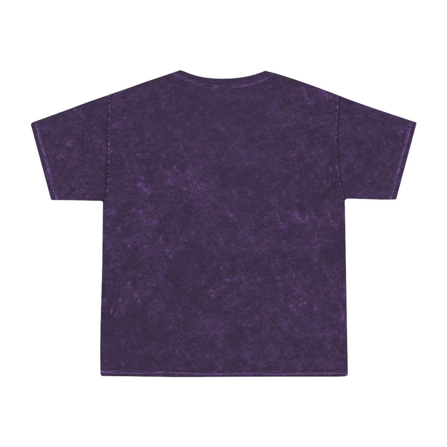 Little Leaders Unisex Mineral Wash T-Shirt