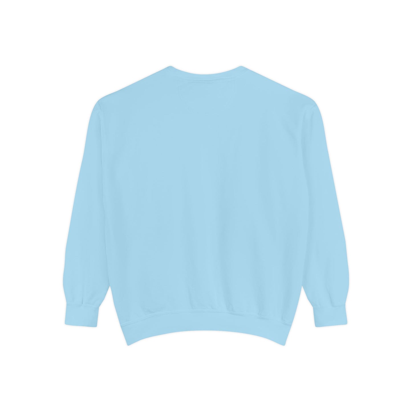 WFE- EXPECT SUCCESS- Embroidered Garment-Dyed Unisex Sweatshirt