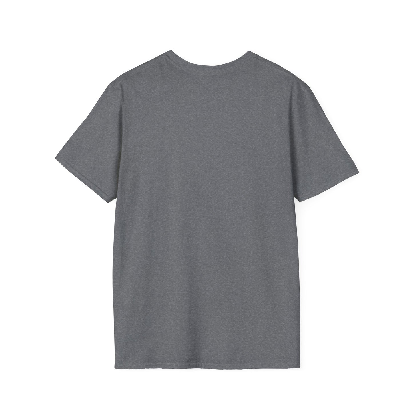 Moriches Pennant Unisex Softstyle Graphic Tee with Vintage Design