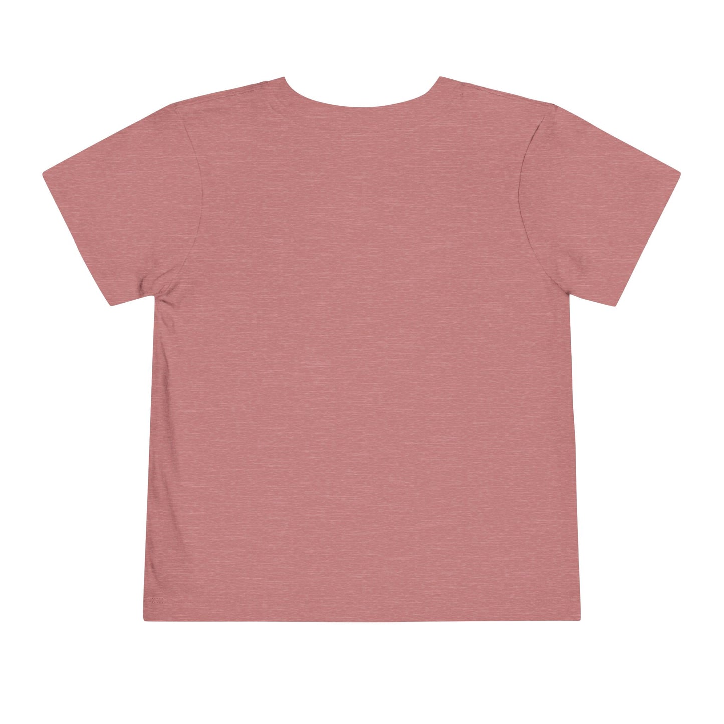 Preschool Girl Toddler Tee- Personalized - Back to School Shirt for Kids