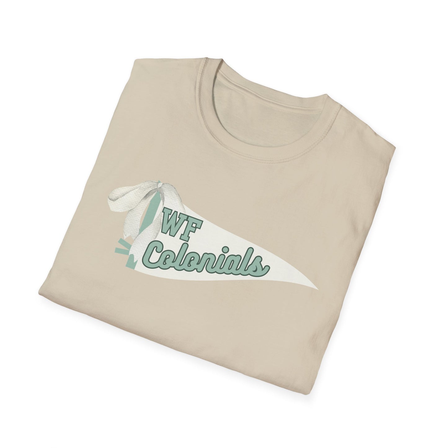 Floyd Strong Pennant Unisex Softstyle Graphic Tee with Vintage Design