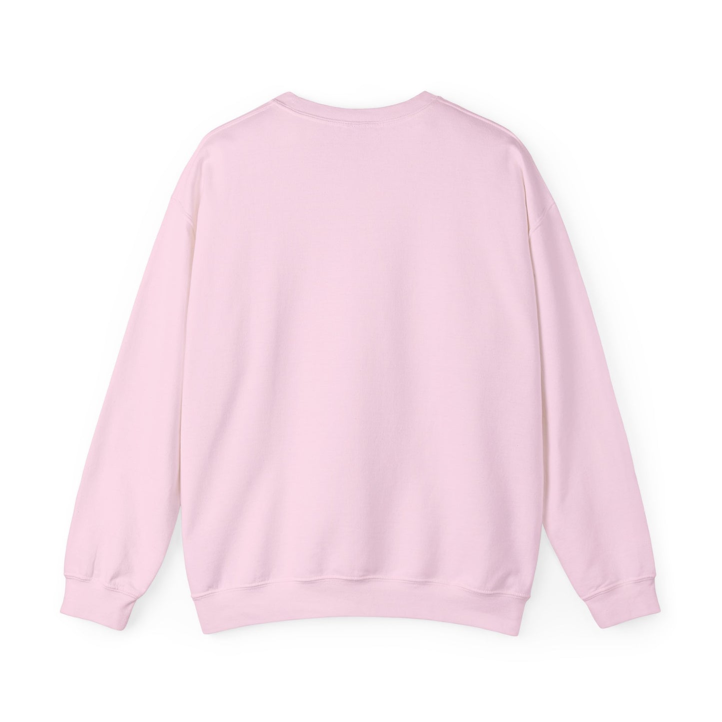 Little Leaders Doodle Colorful Crewneck Sweatshirt