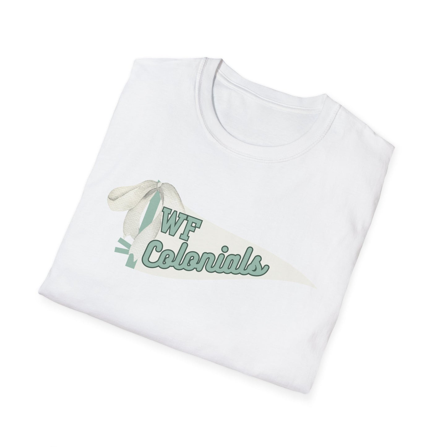 Floyd Strong Pennant Unisex Softstyle Graphic Tee with Vintage Design