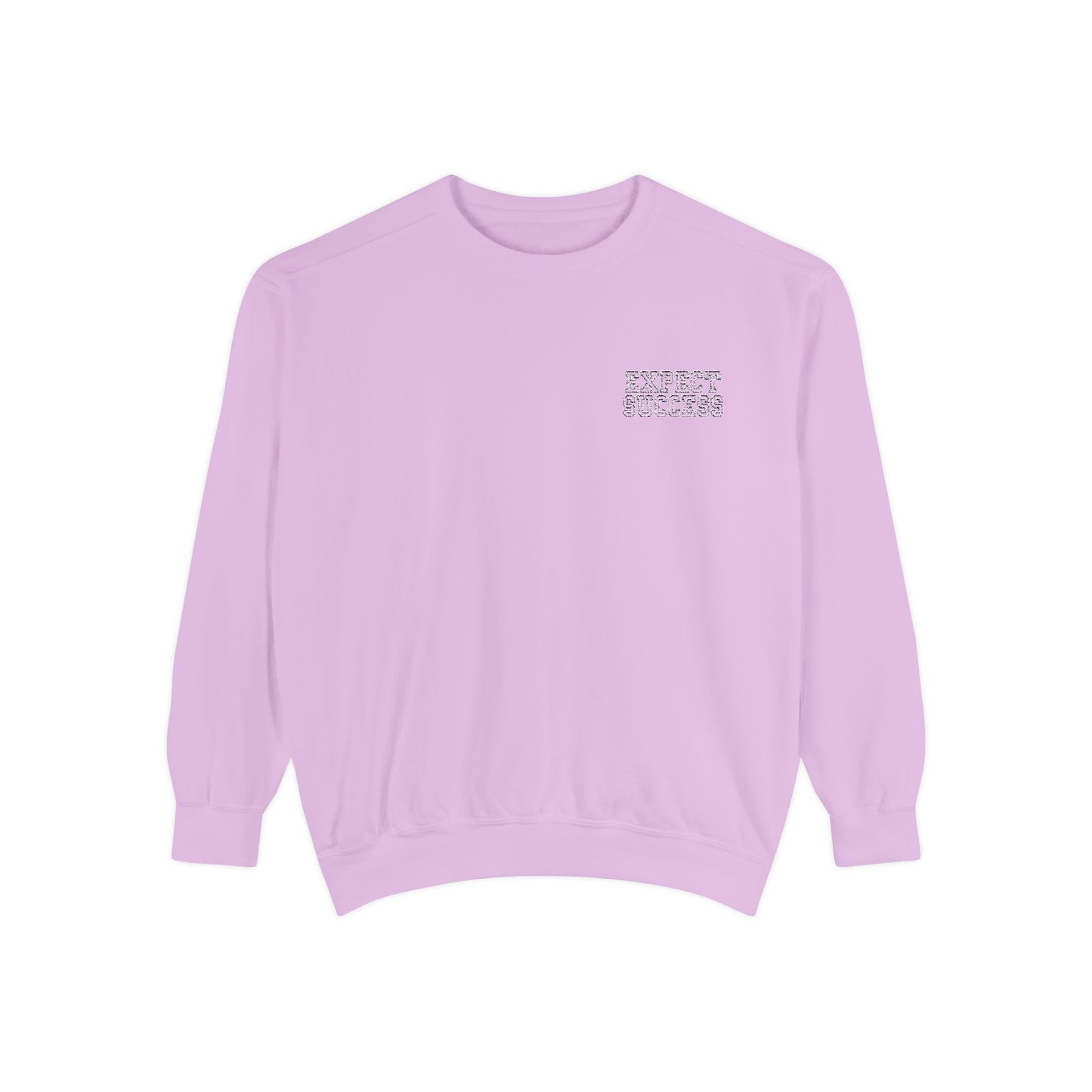 WFE- EXPECT SUCCESS- Embroidered Garment-Dyed Unisex Sweatshirt
