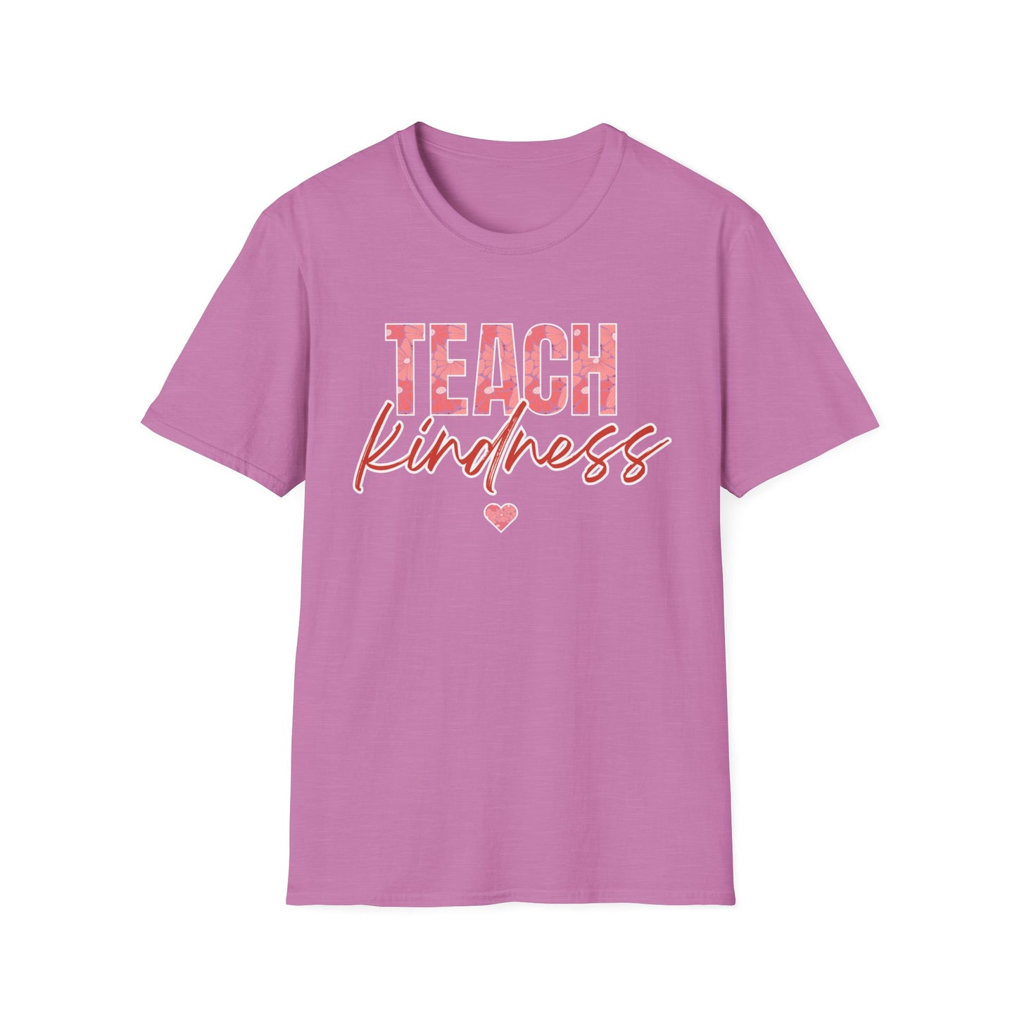 Teach Kind ness Teacher T-Shirt