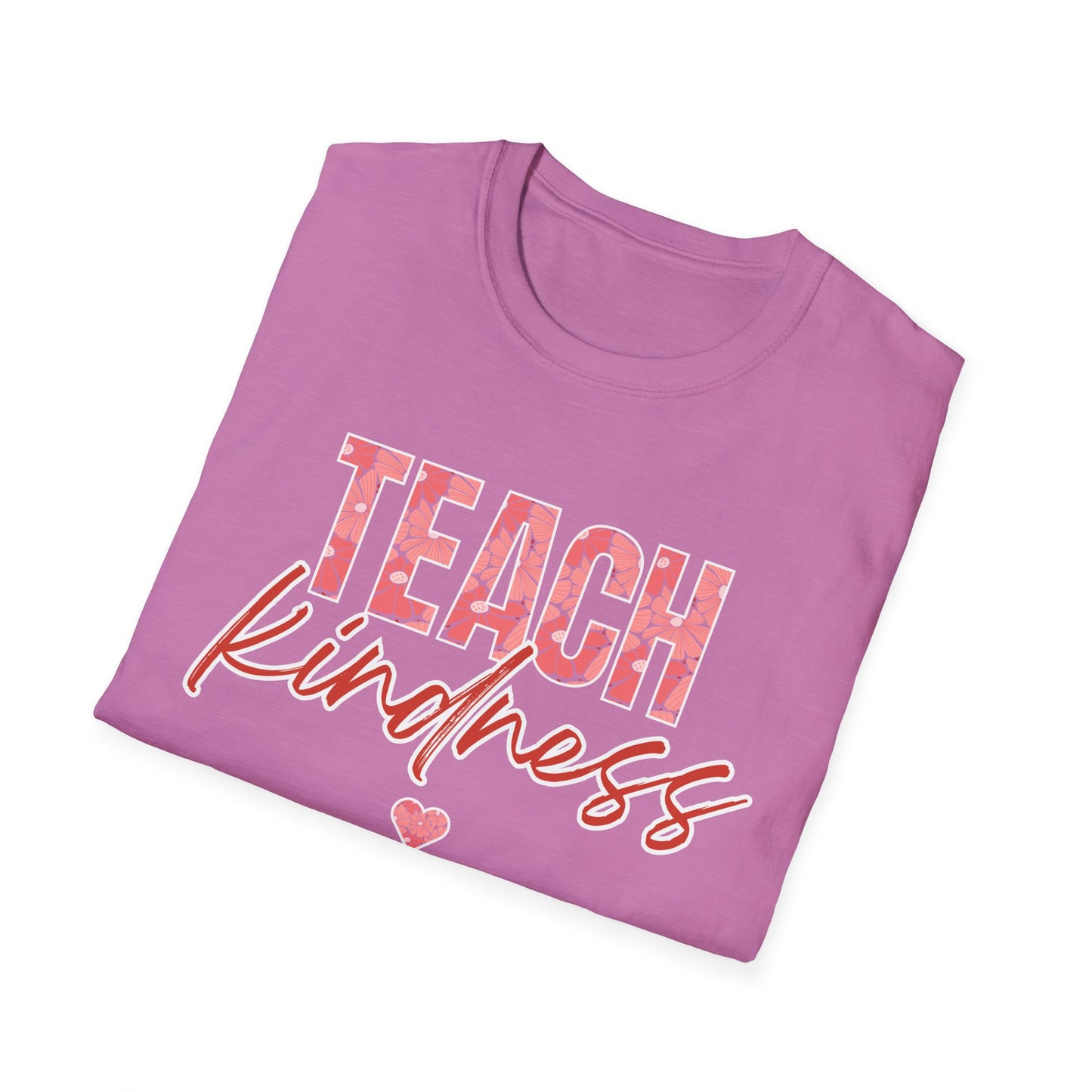 Teach Kind ness Teacher T-Shirt