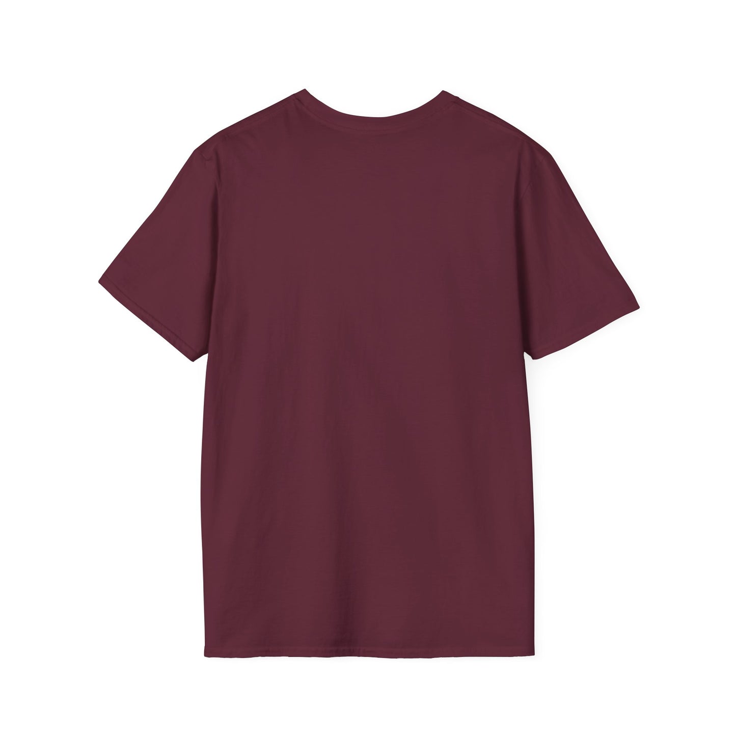 Teach Kind ness Teacher T-Shirt