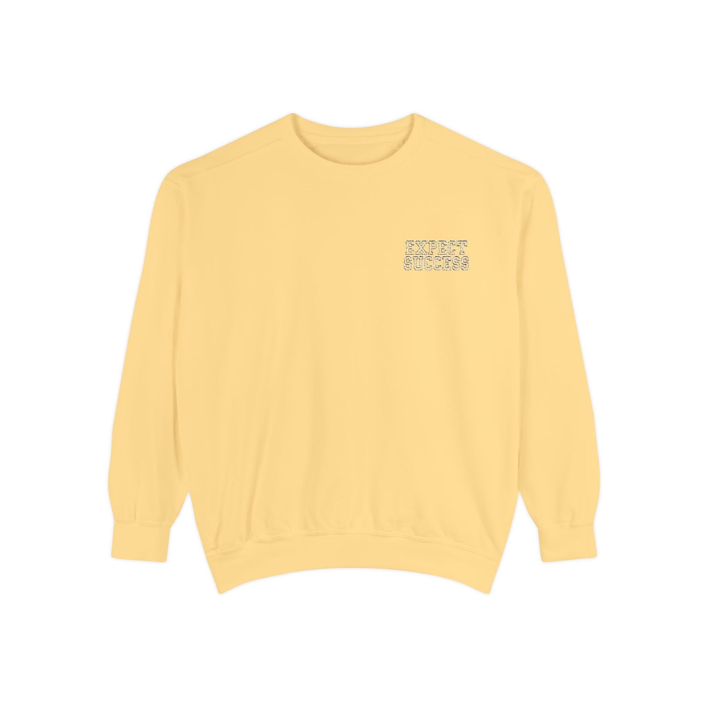 WFE- EXPECT SUCCESS- Embroidered Garment-Dyed Unisex Sweatshirt