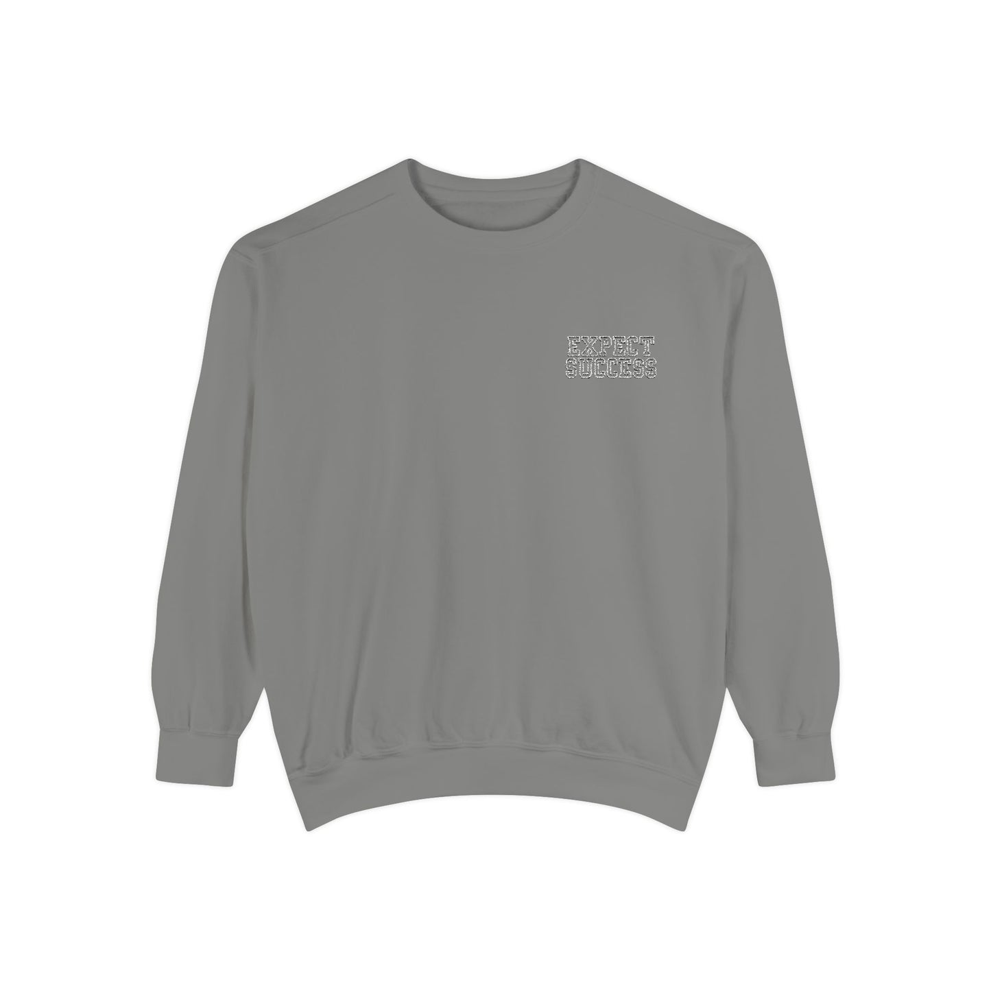 WFE- EXPECT SUCCESS- Embroidered Garment-Dyed Unisex Sweatshirt