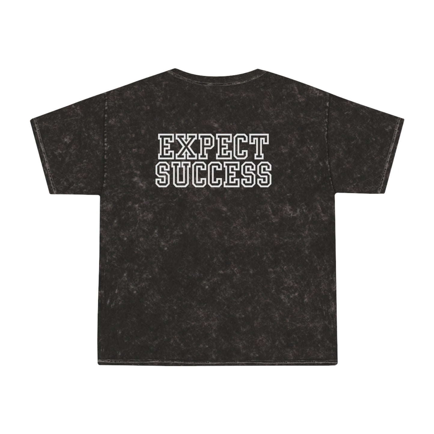 William Floyd Elementary Mineral Wash T-Shirt - Expect Success