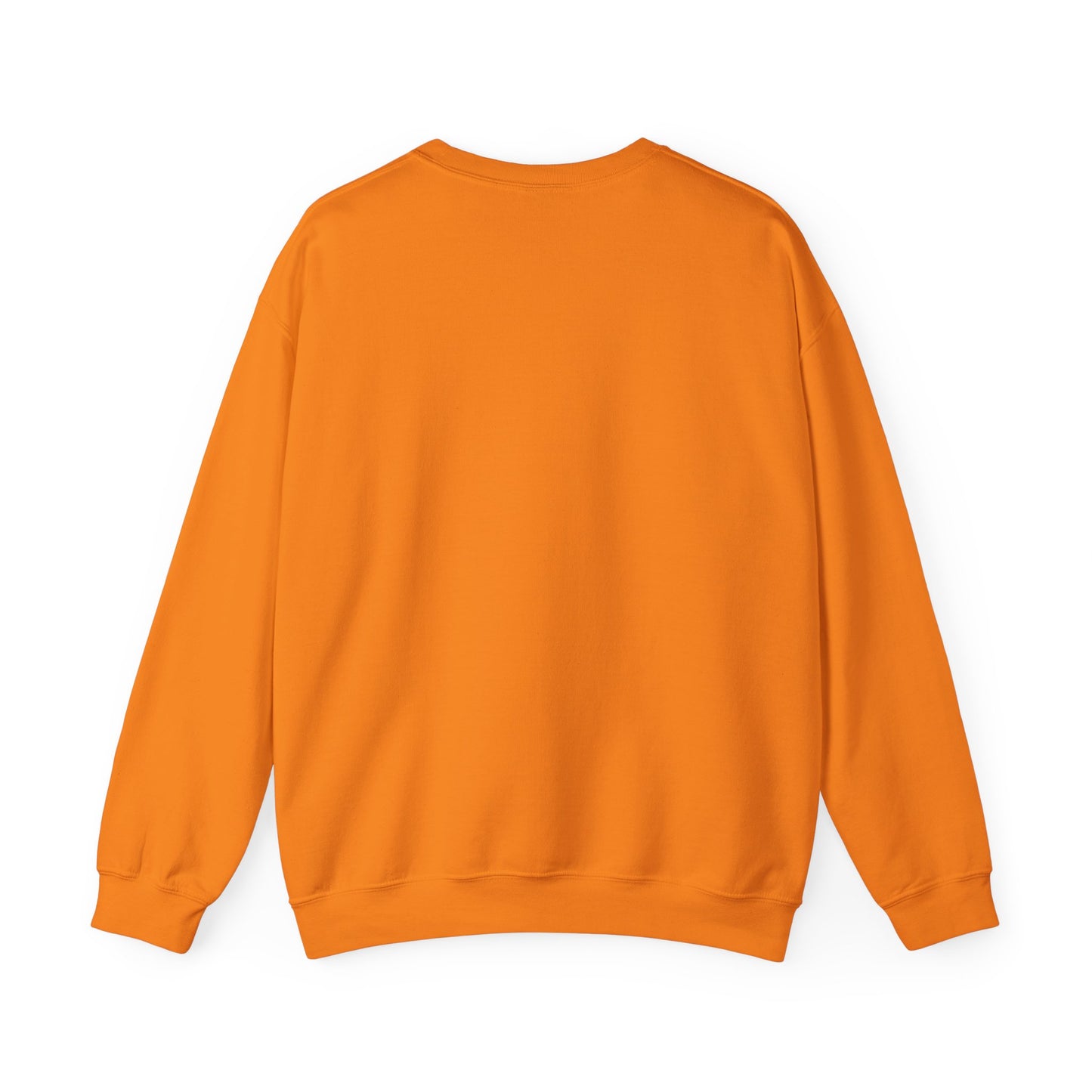 Little Leaders Doodle Colorful Crewneck Sweatshirt
