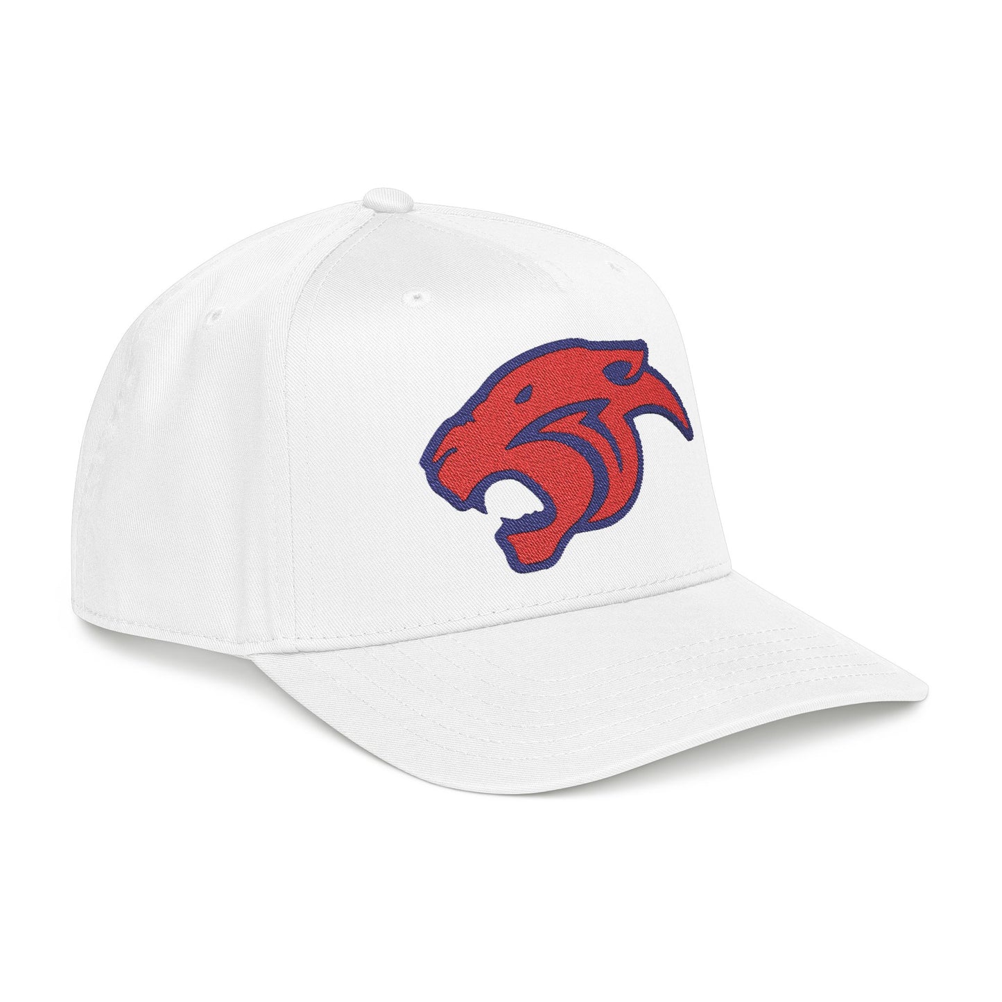 MP Football- Panther Baseball Cap
