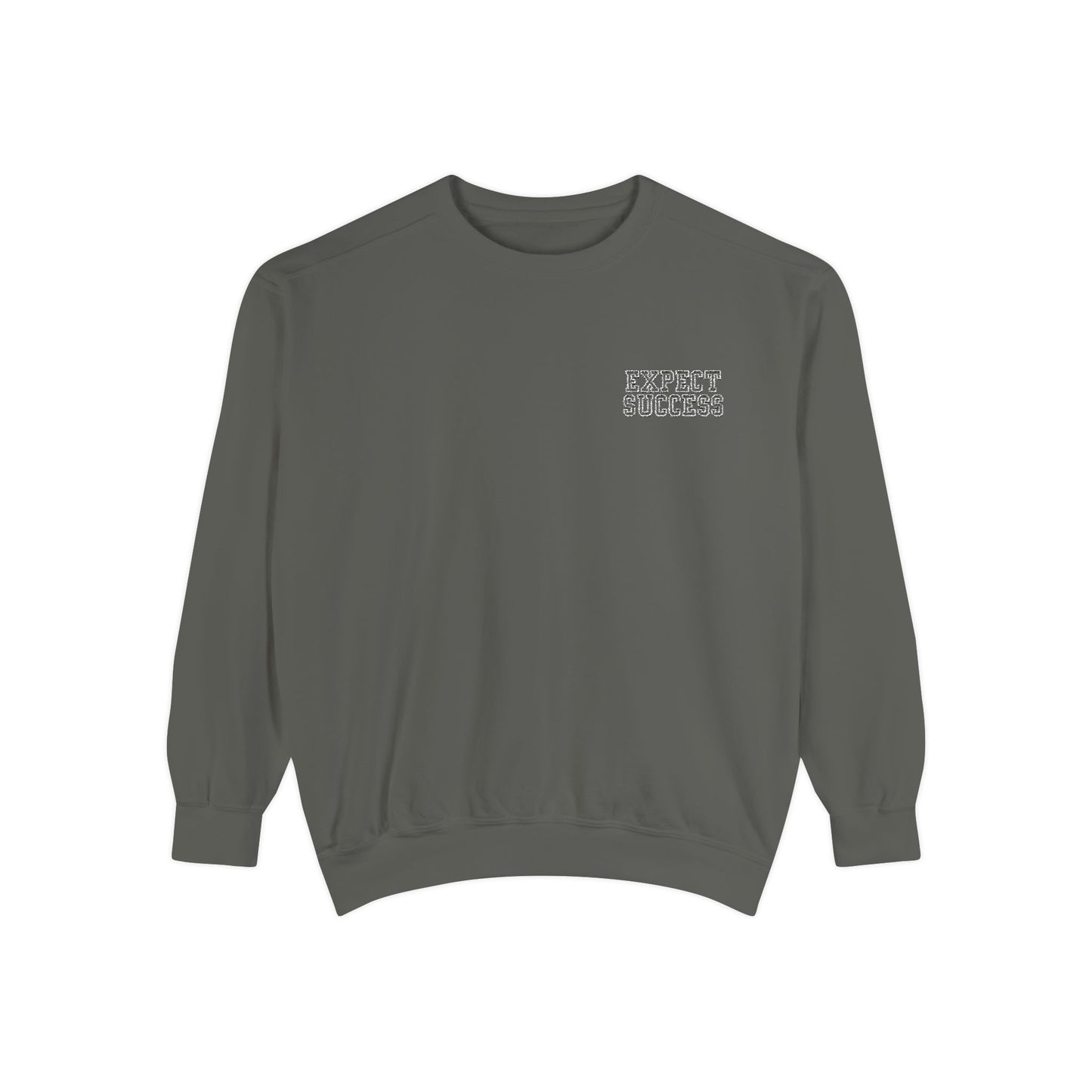 WFE- EXPECT SUCCESS- Embroidered Garment-Dyed Unisex Sweatshirt