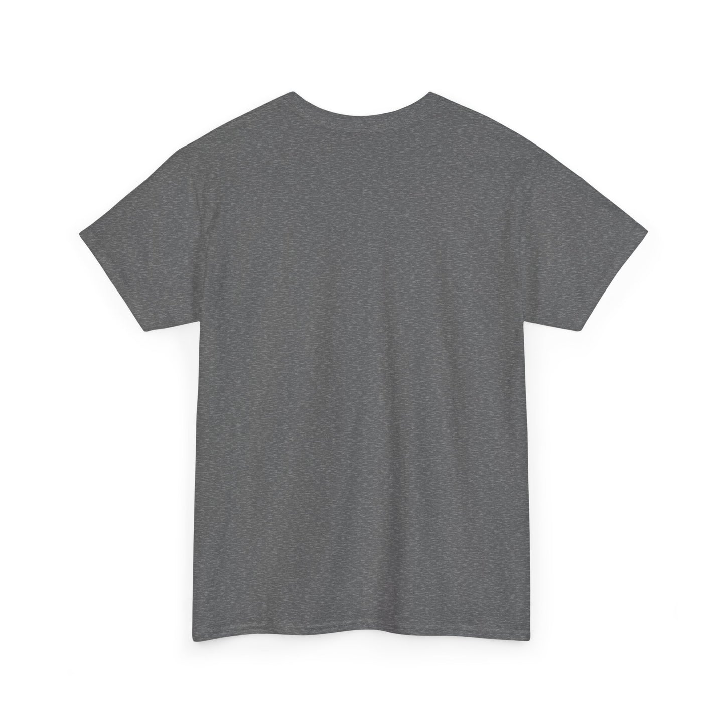 Panther Nation #764 Tee — MP Football Fan Shirt
