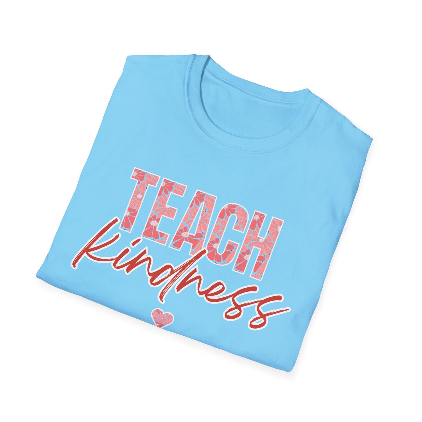 Teach Kind ness Teacher T-Shirt