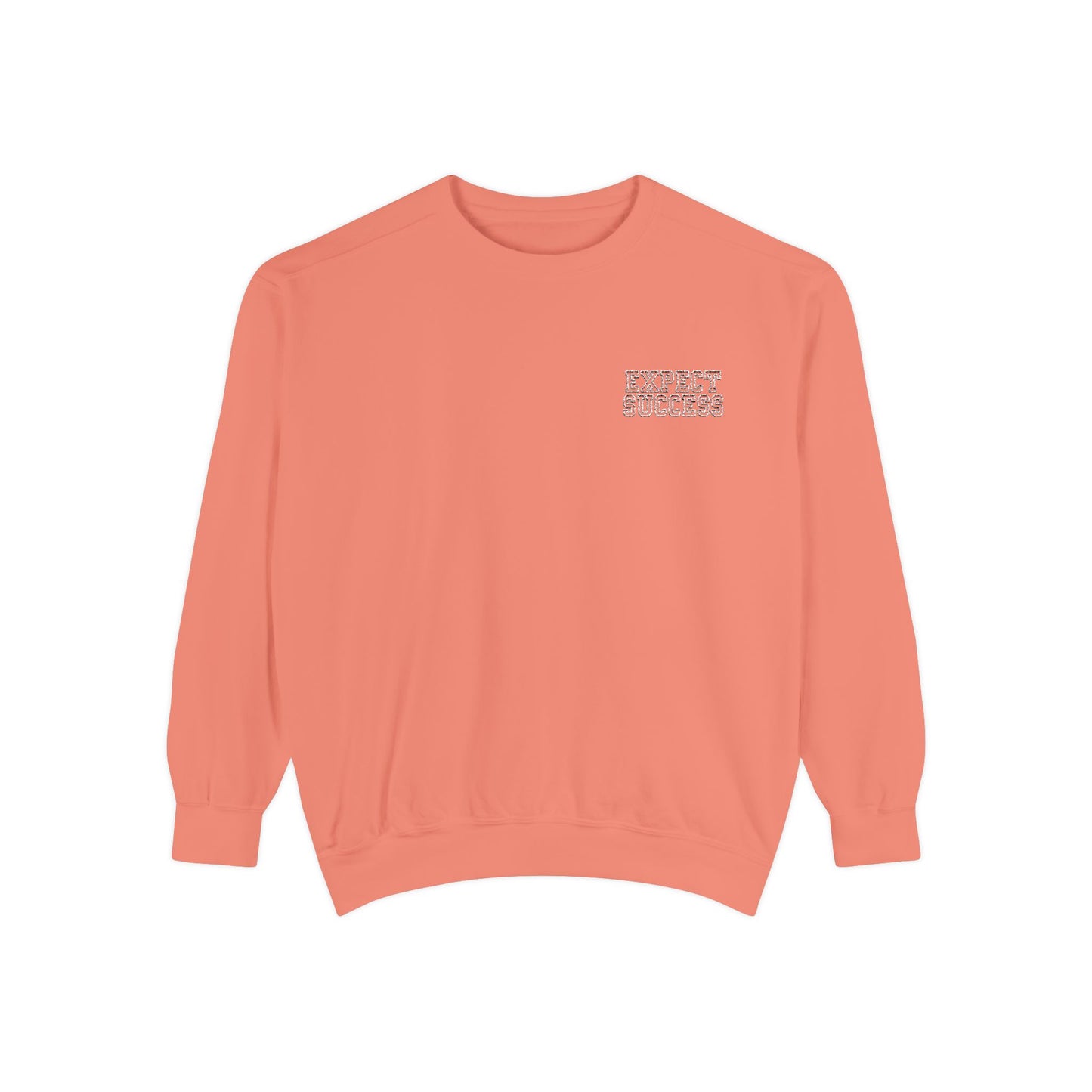 WFE- EXPECT SUCCESS- Embroidered Garment-Dyed Unisex Sweatshirt