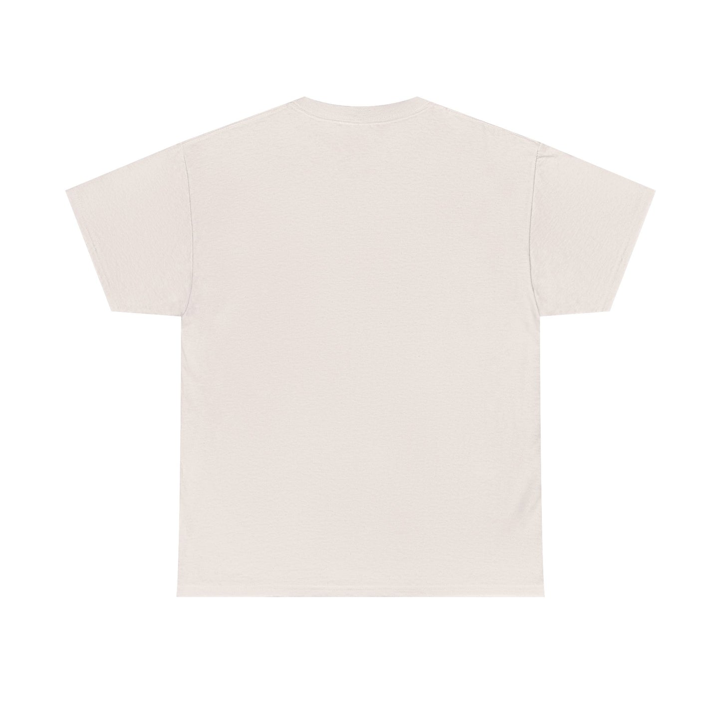 Panther Nation #764 Tee — MP Football Fan Shirt