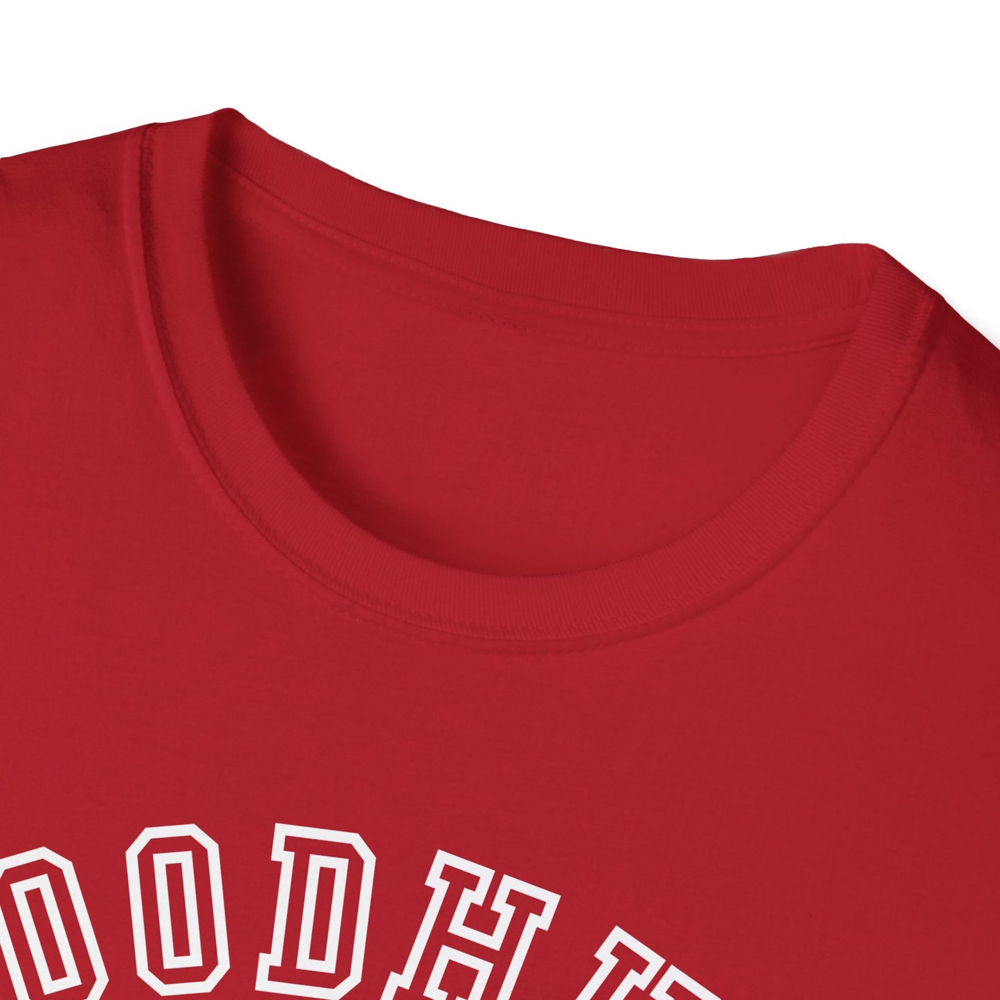 Woodhull- Celebrating Everyone, Always Holiday T-Shirt (Christmas)