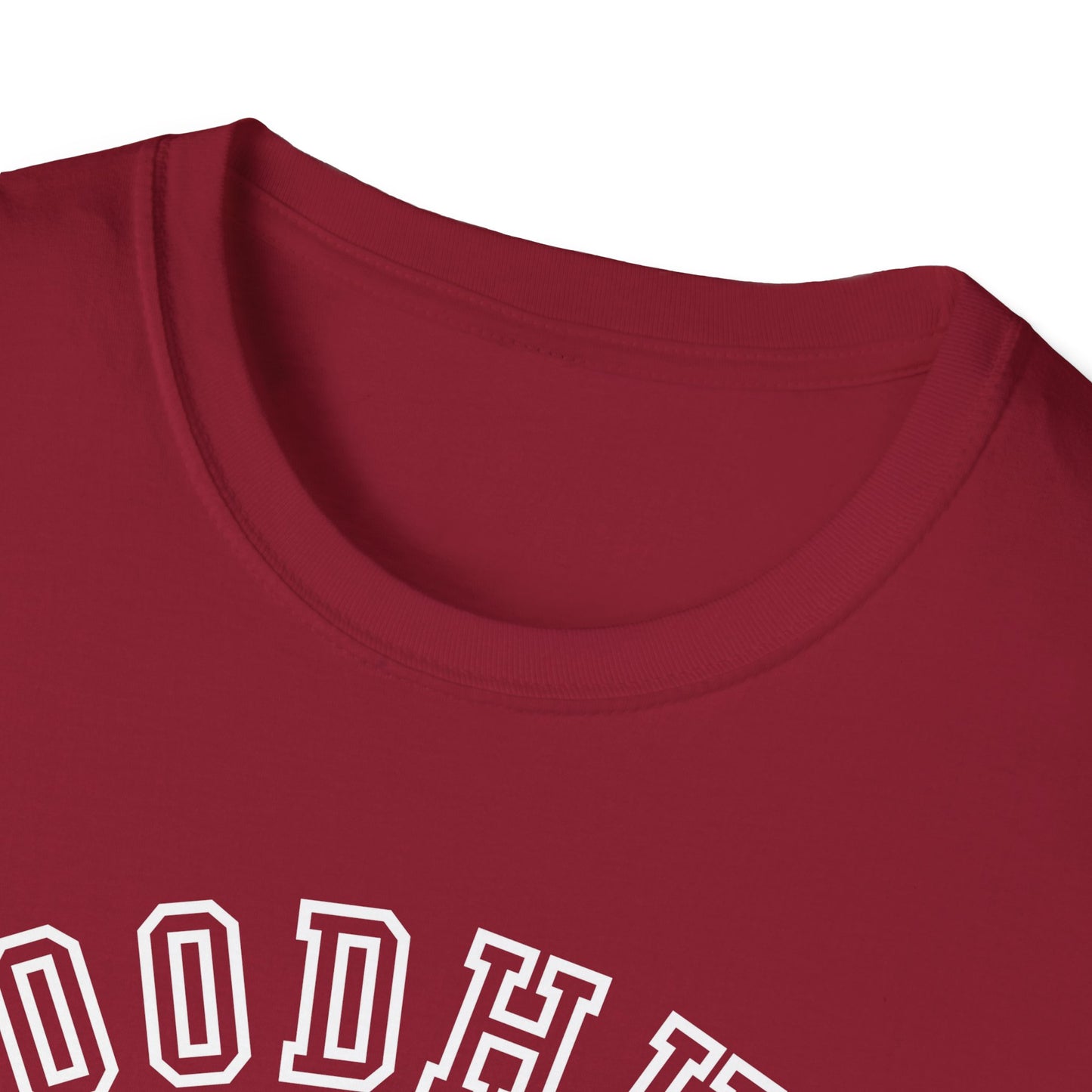 Woodhull- Celebrating Everyone, Always Holiday T-Shirt (Christmas)