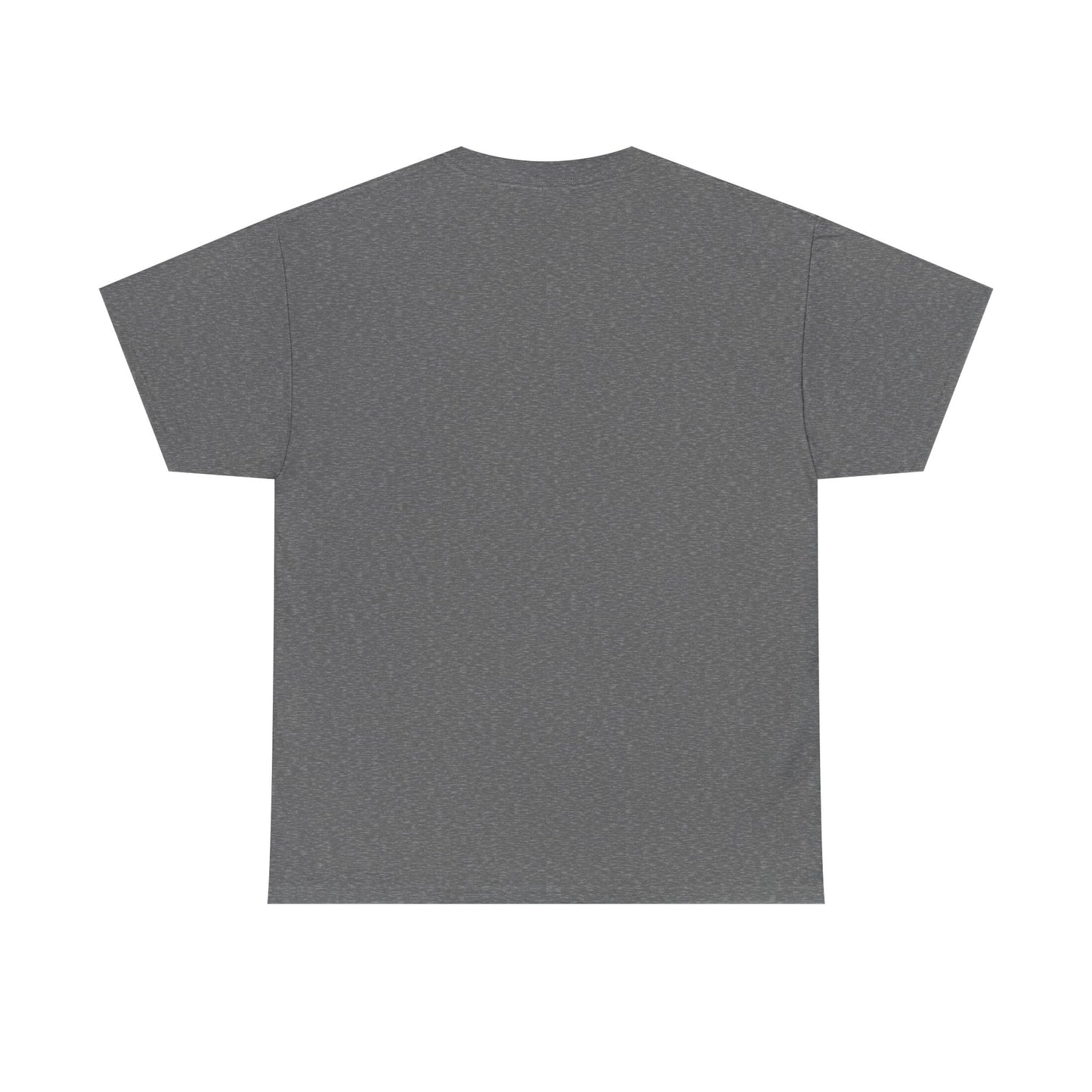 Panther Nation #764 Tee — MP Football Fan Shirt