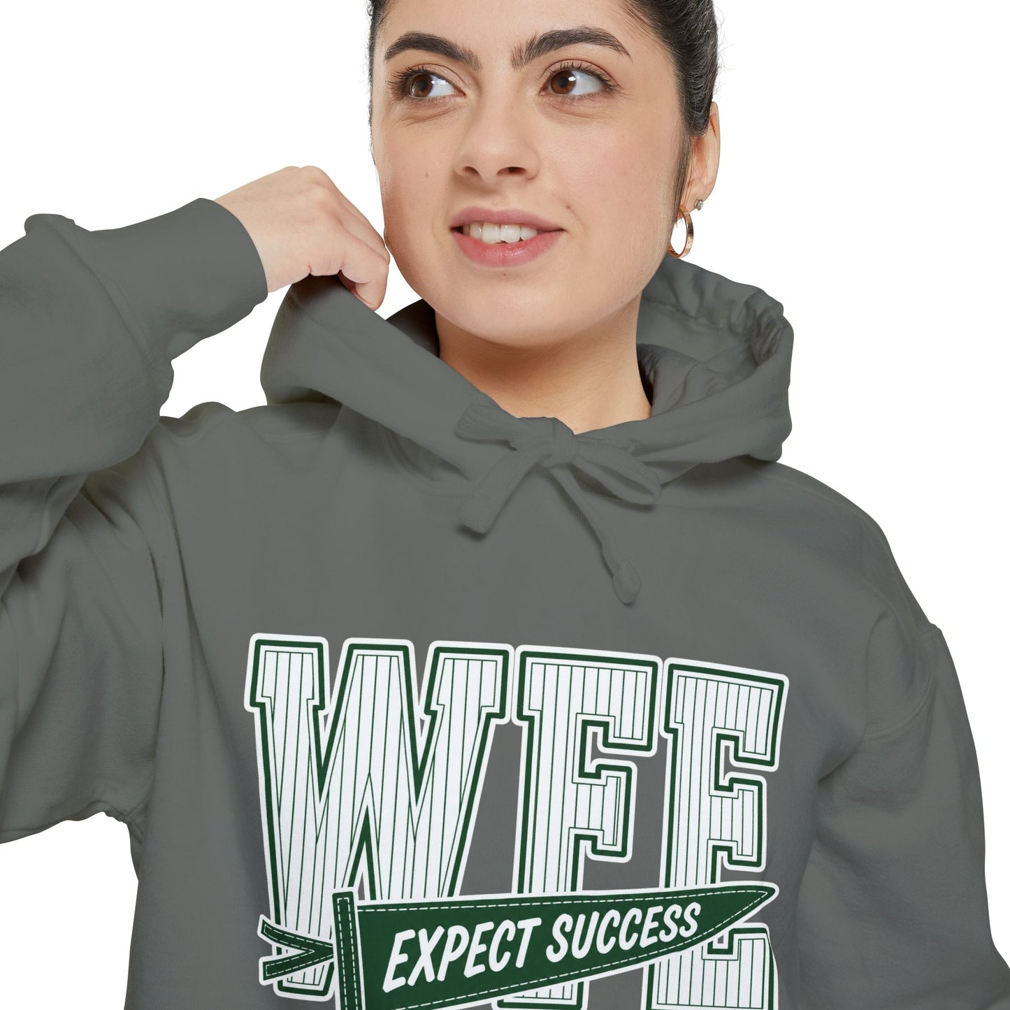 WFE “Expect Success”  Pennant- Vintage Collegiate Pullover