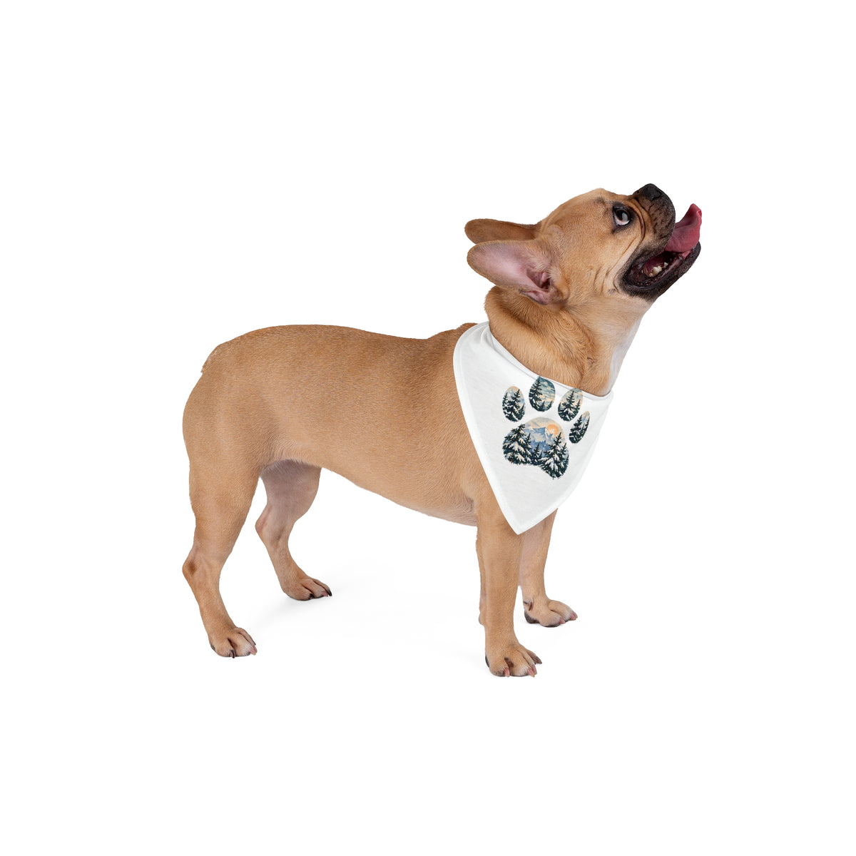 Hound + Home -- Winter Pet Bandana