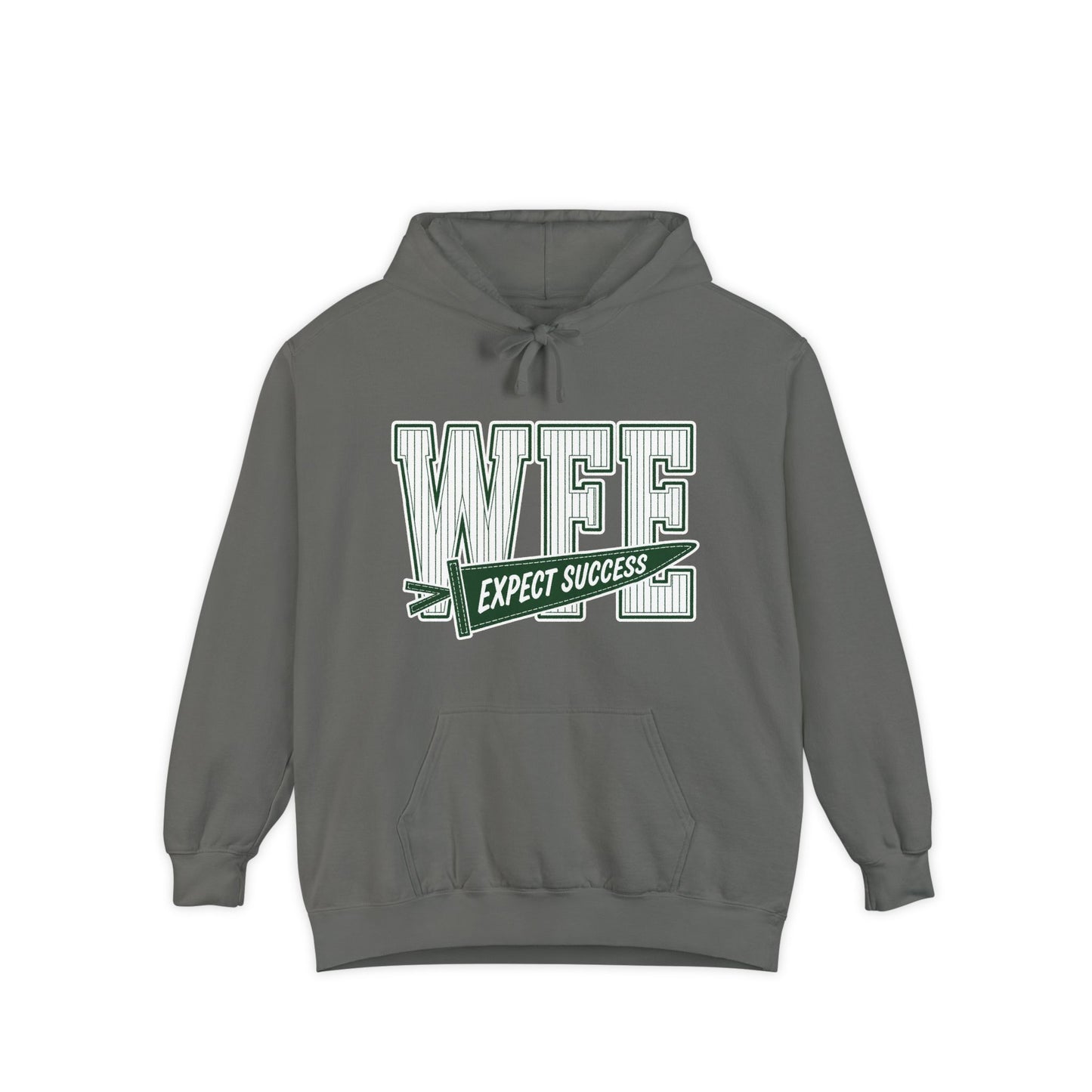 WFE “Expect Success”  Pennant- Vintage Collegiate Pullover