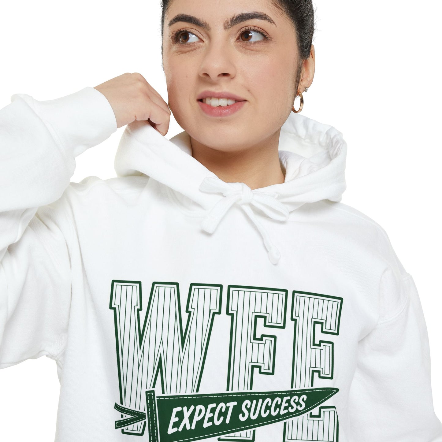 WFE “Expect Success”  Pennant- Vintage Collegiate Pullover