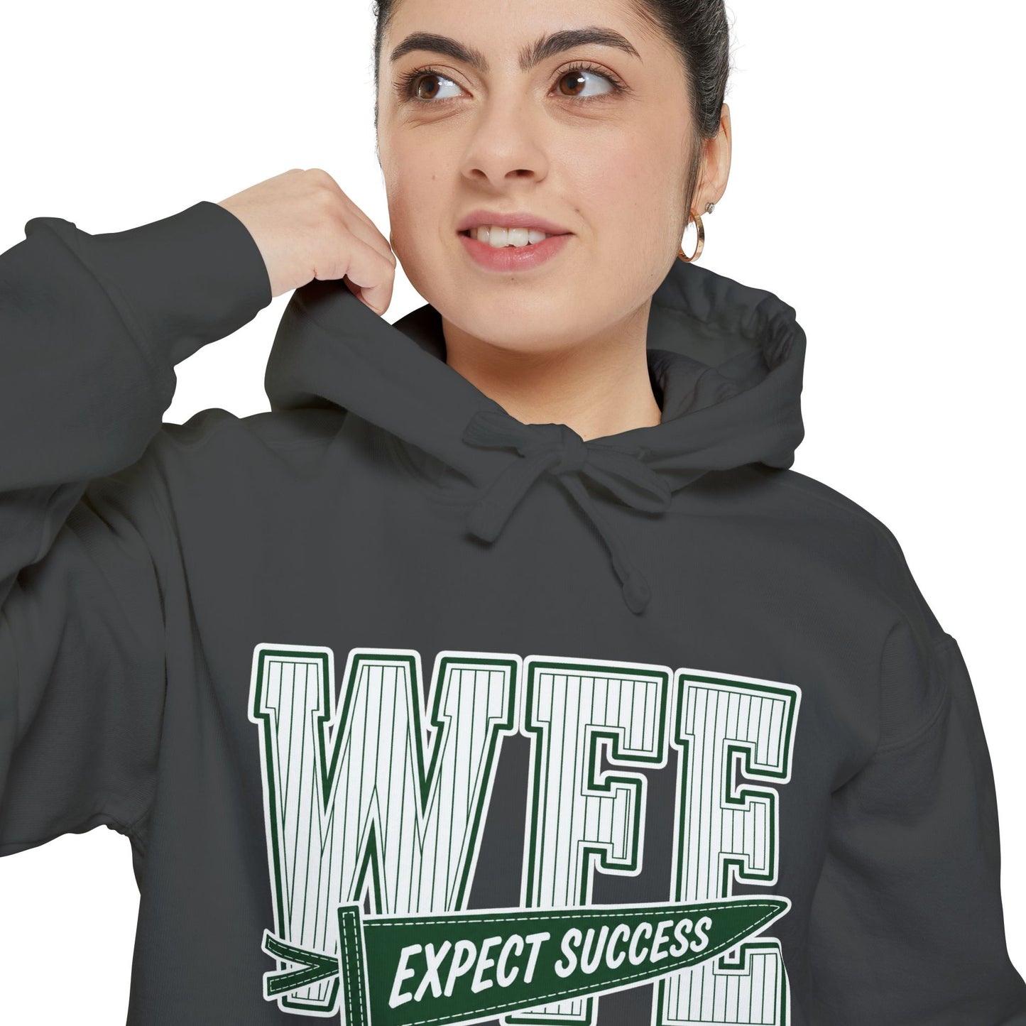 WFE “Expect Success”  Pennant- Vintage Collegiate Pullover