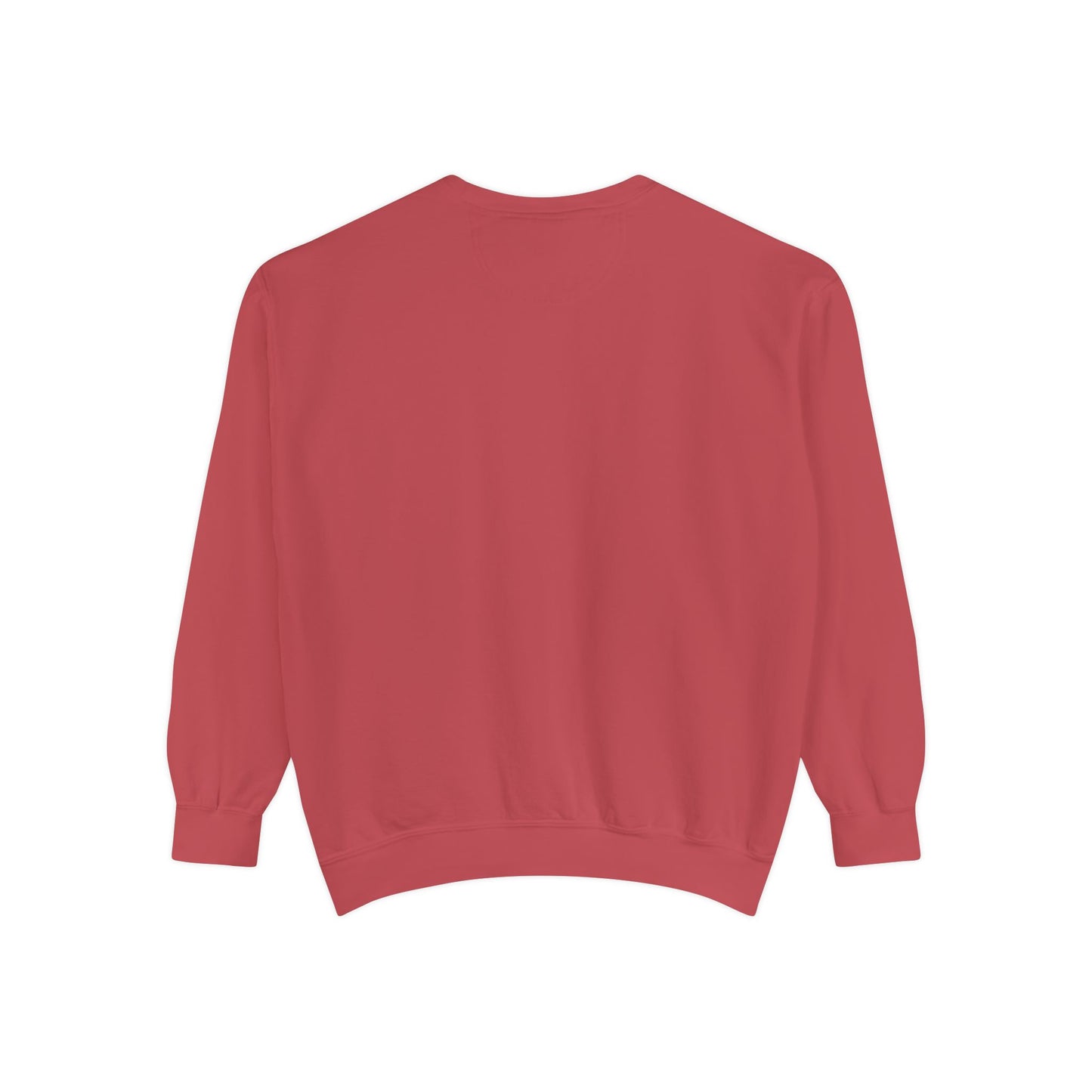 WFE- EXPECT SUCCESS- Embroidered Garment-Dyed Unisex Sweatshirt