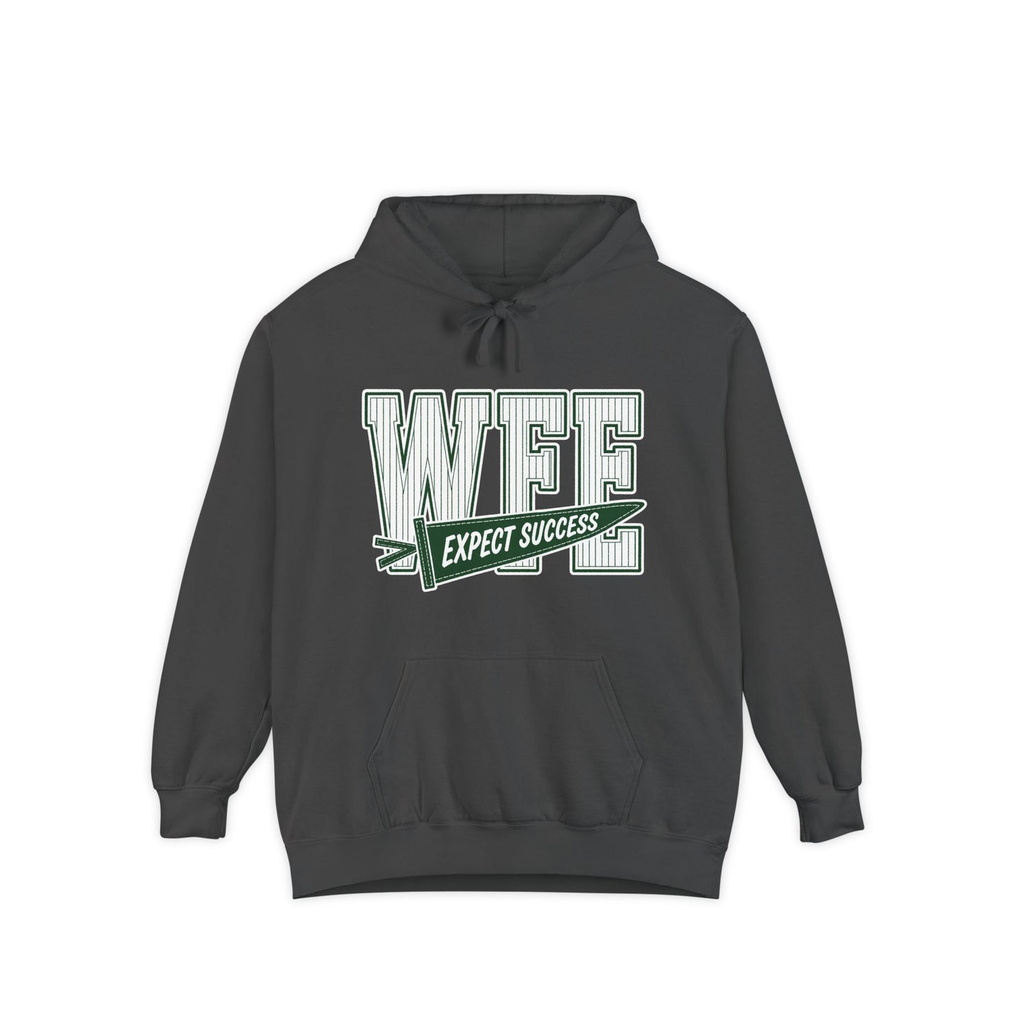WFE “Expect Success”  Pennant- Vintage Collegiate Pullover