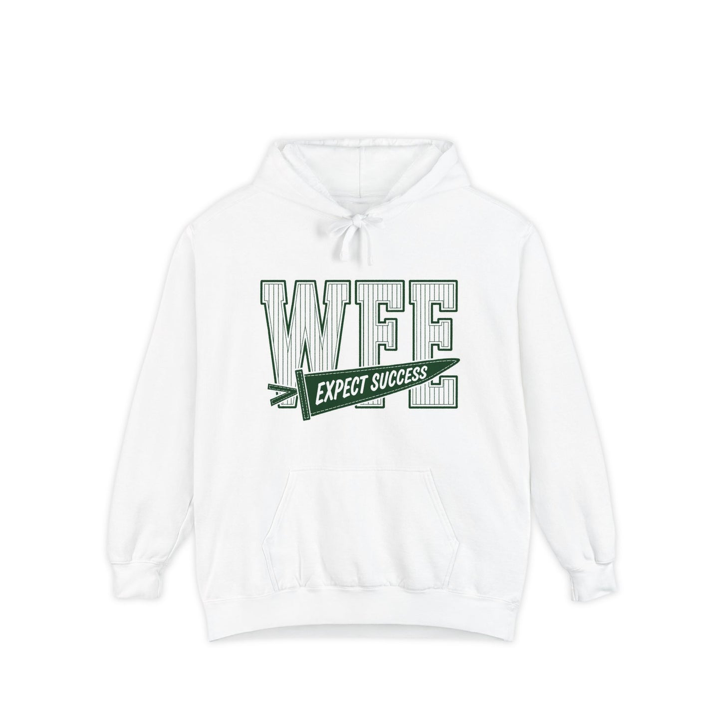 WFE “Expect Success”  Pennant- Vintage Collegiate Pullover