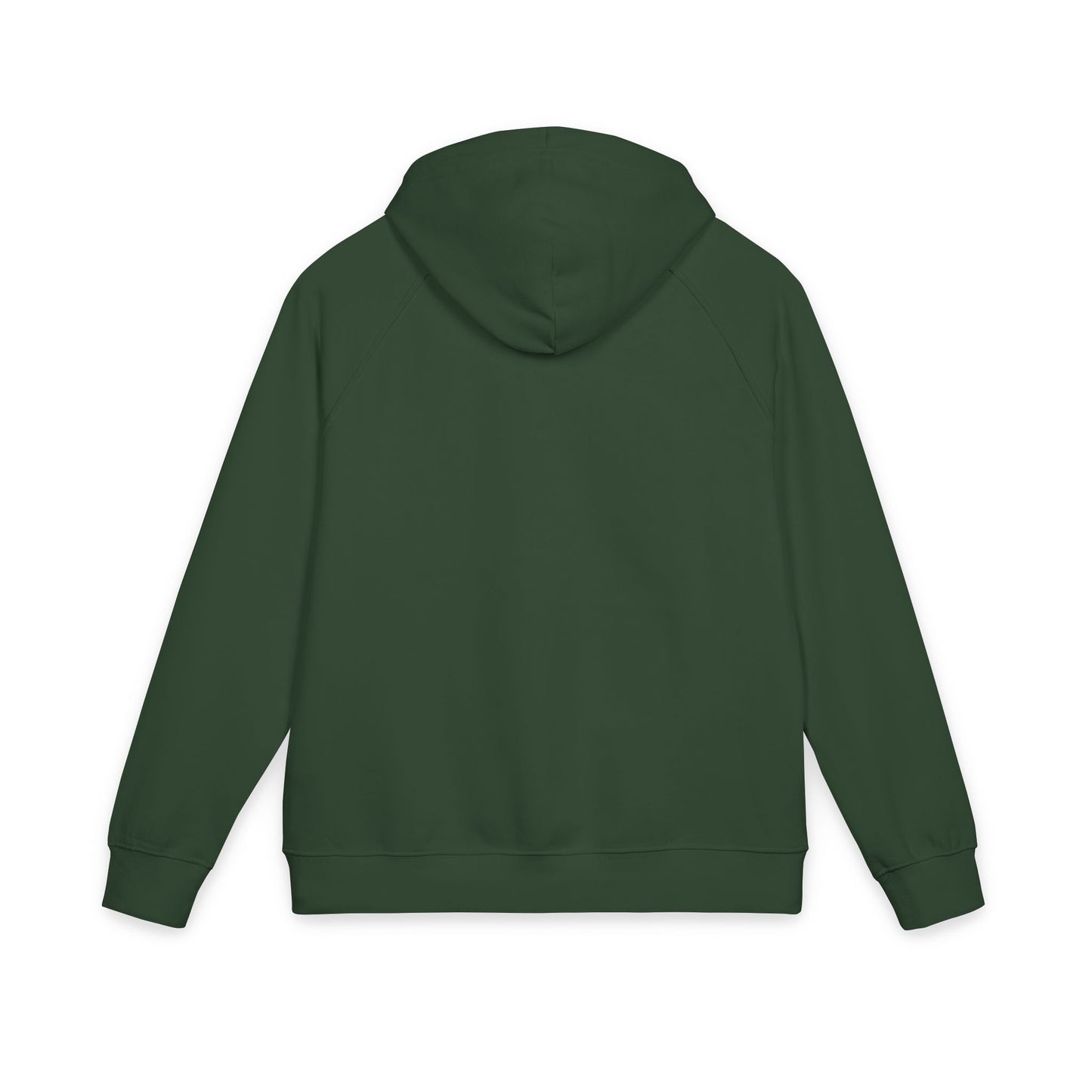 FLOYD STRONG Embroidered 'Plant Friend' Eco Raglan Hoodie
