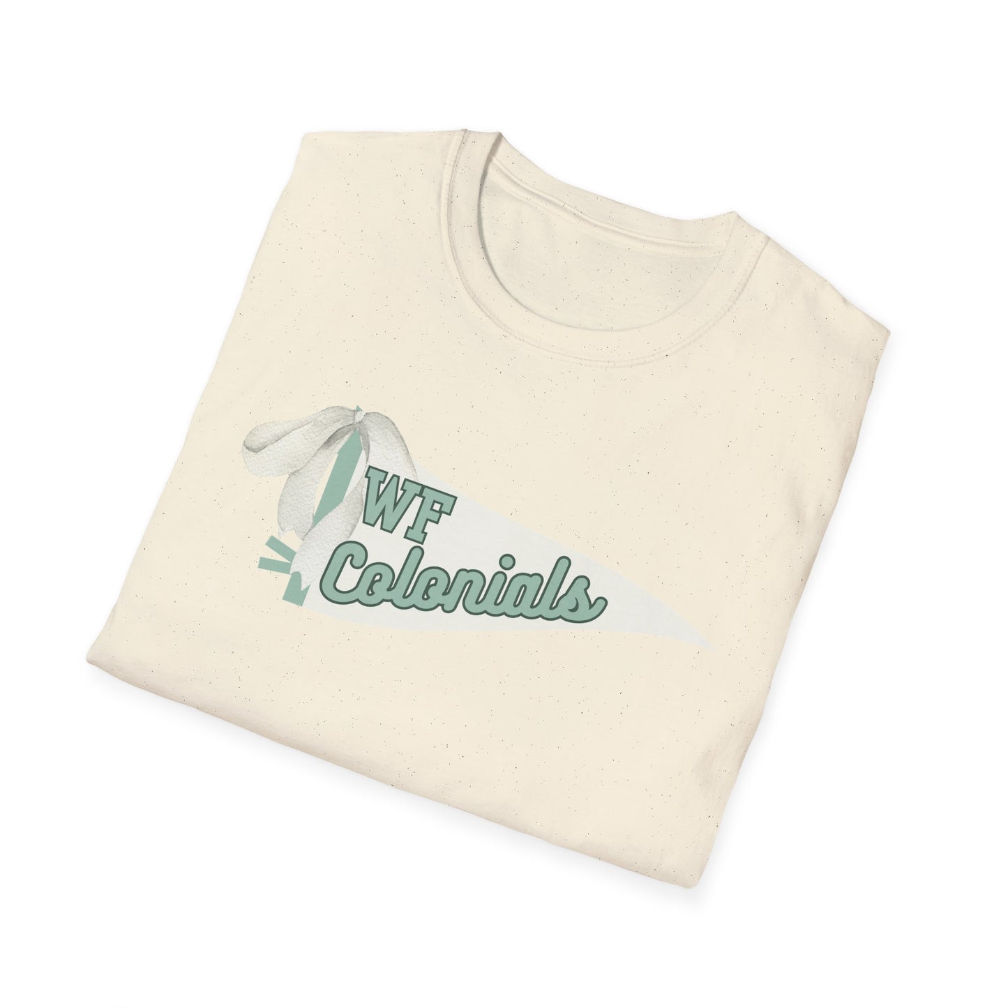 Floyd Strong Pennant Unisex Softstyle Graphic Tee with Vintage Design