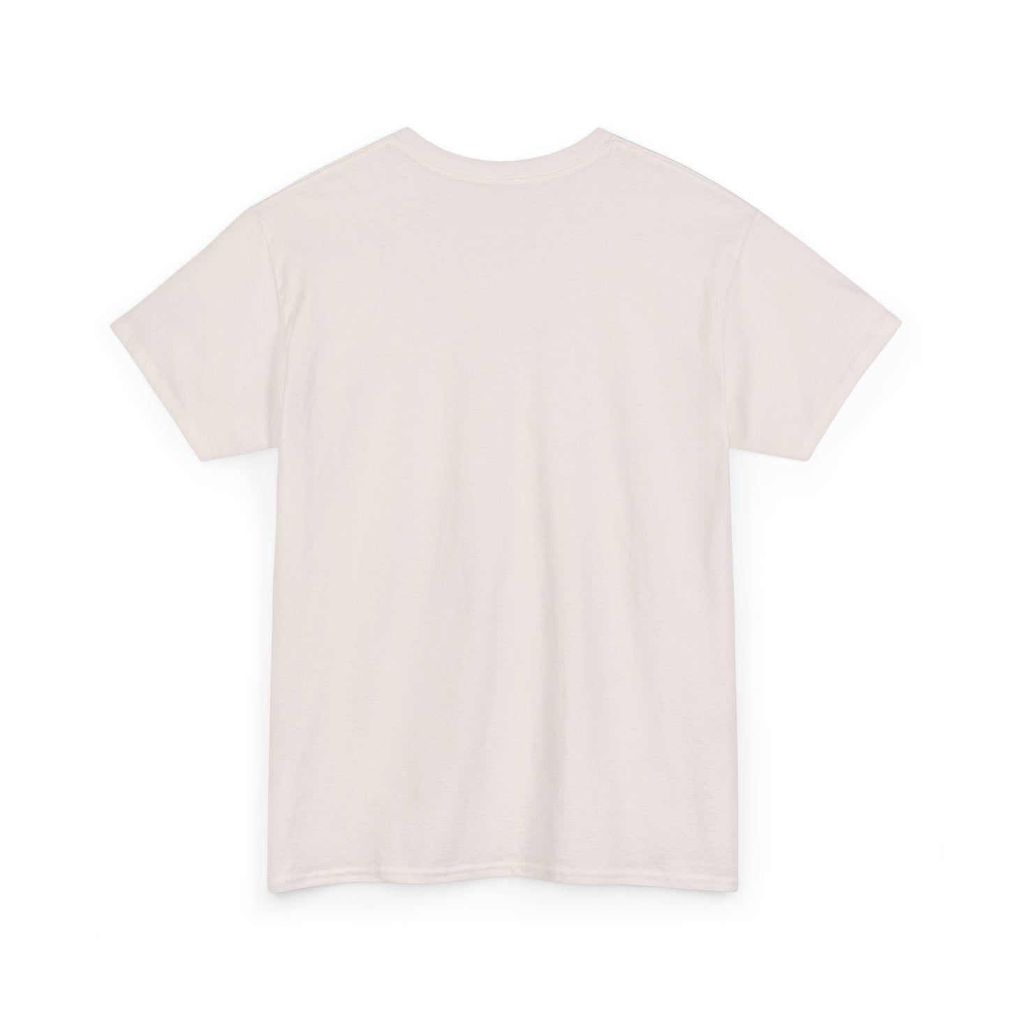 Panther Nation #764 Tee — MP Football Fan Shirt
