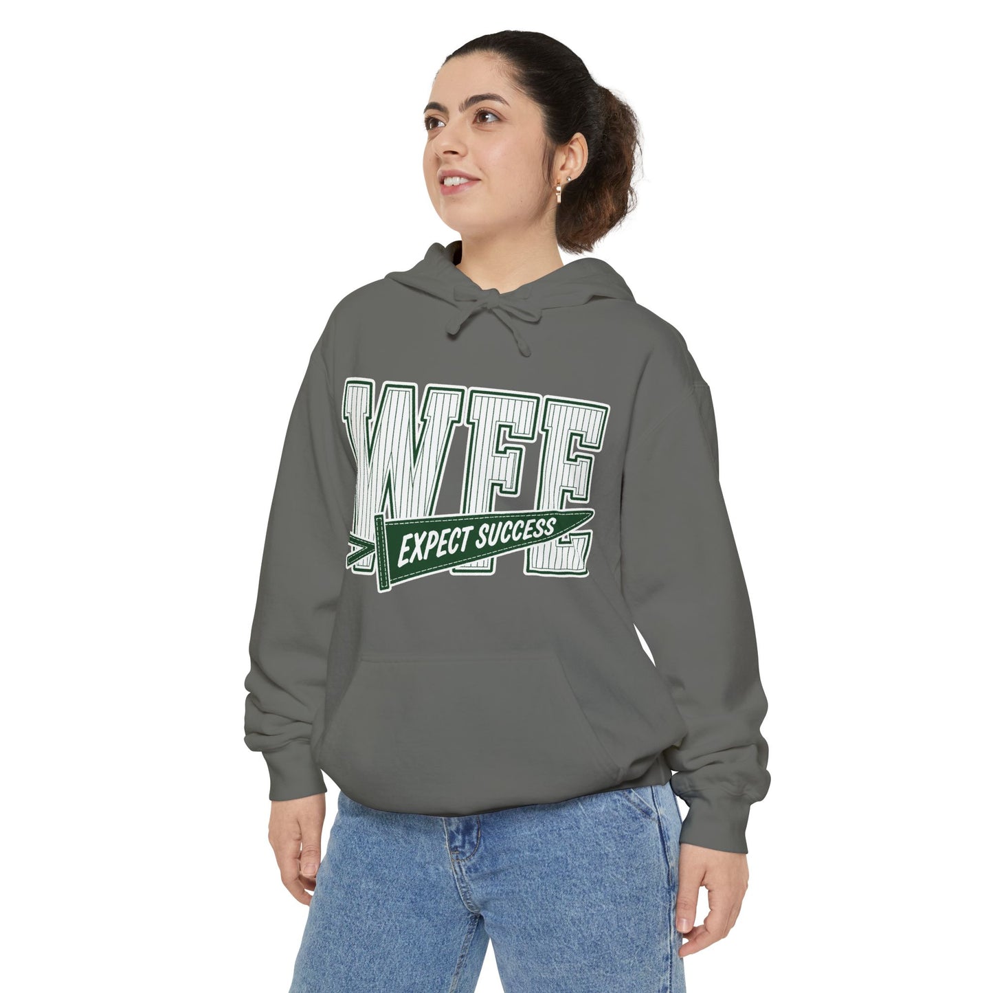 WFE “Expect Success”  Pennant- Vintage Collegiate Pullover