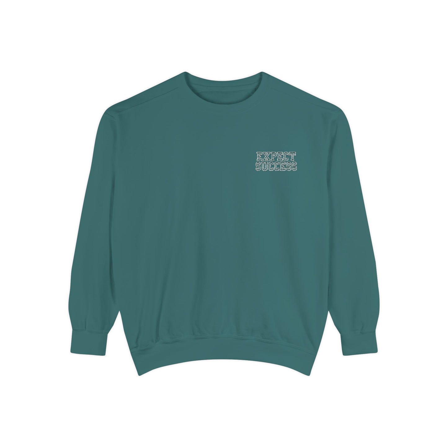 WFE- EXPECT SUCCESS- Embroidered Garment-Dyed Unisex Sweatshirt