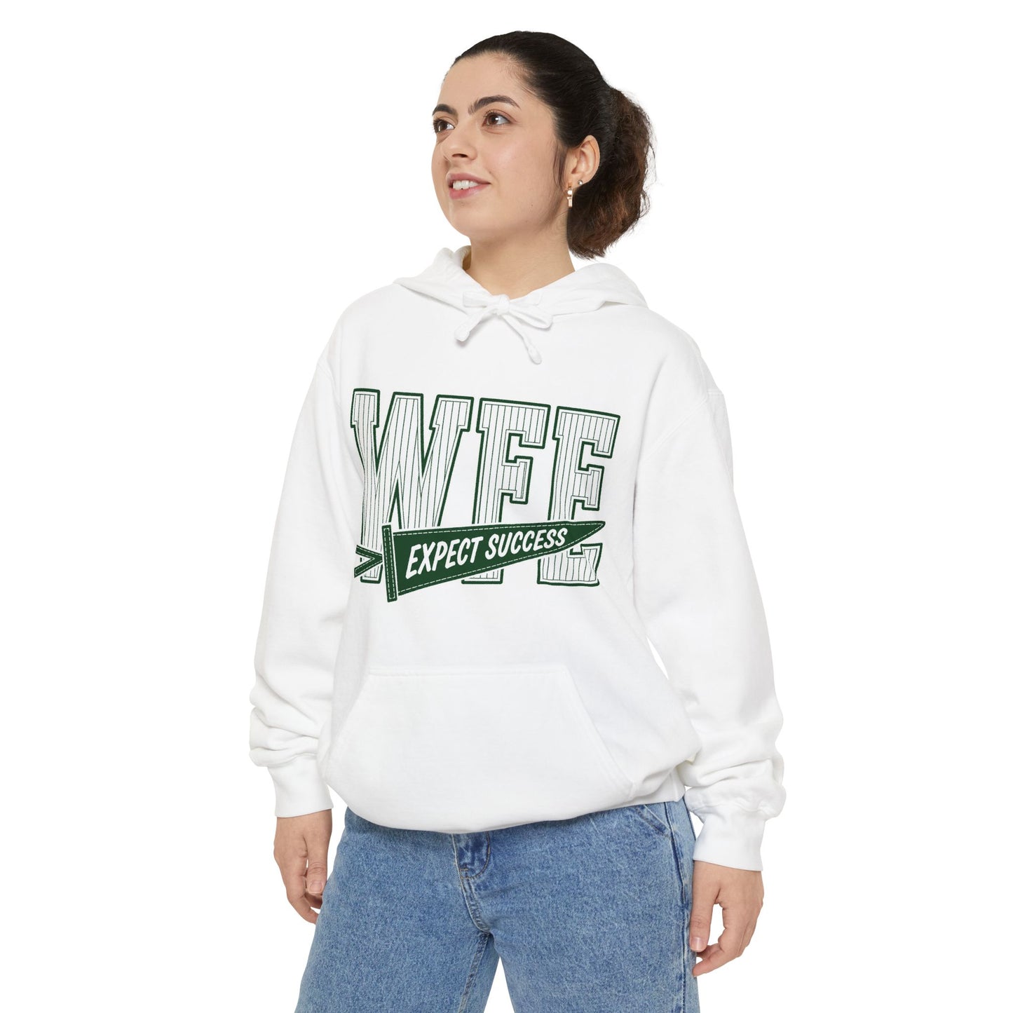 WFE “Expect Success”  Pennant- Vintage Collegiate Pullover