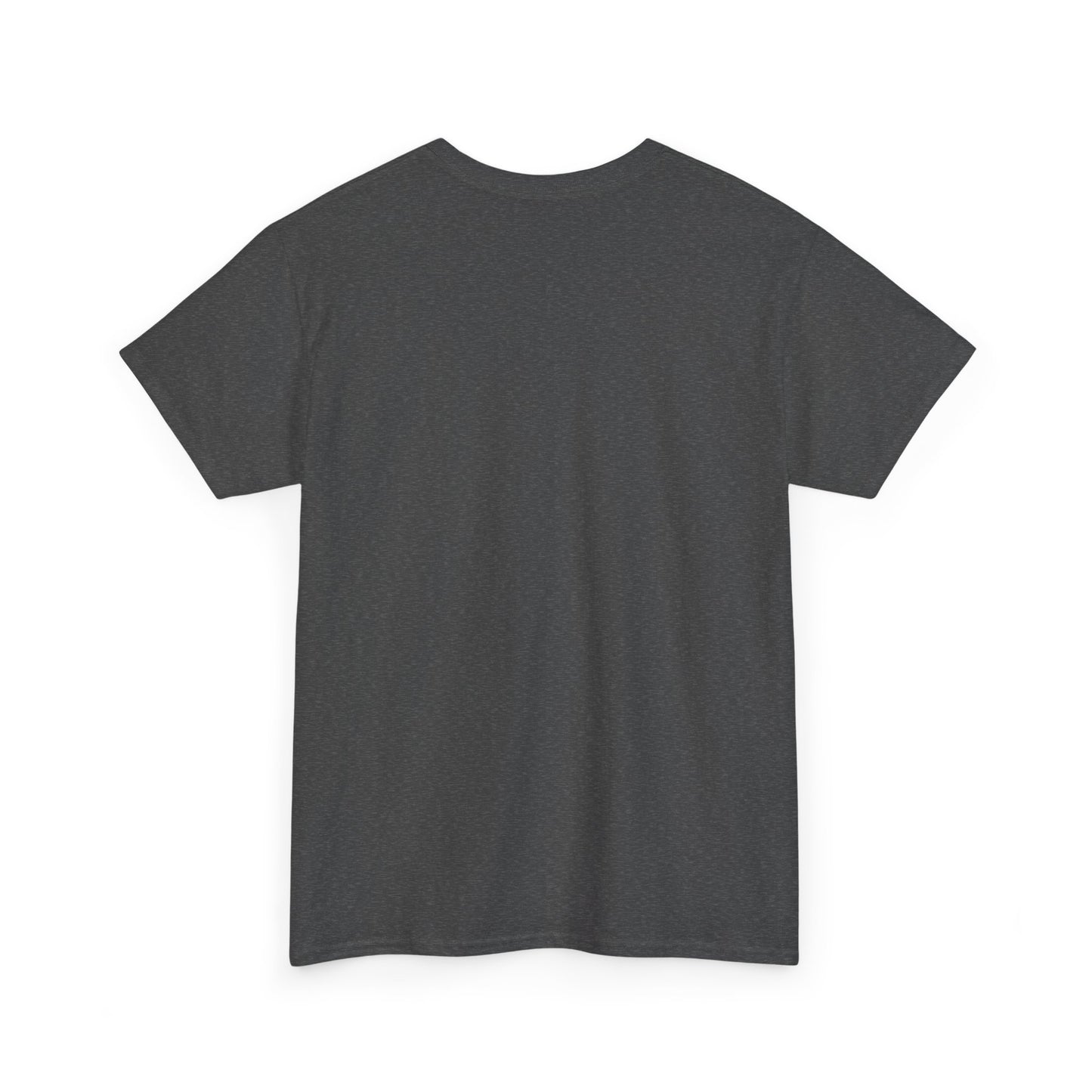 Panther Nation #764 Tee — MP Football Fan Shirt