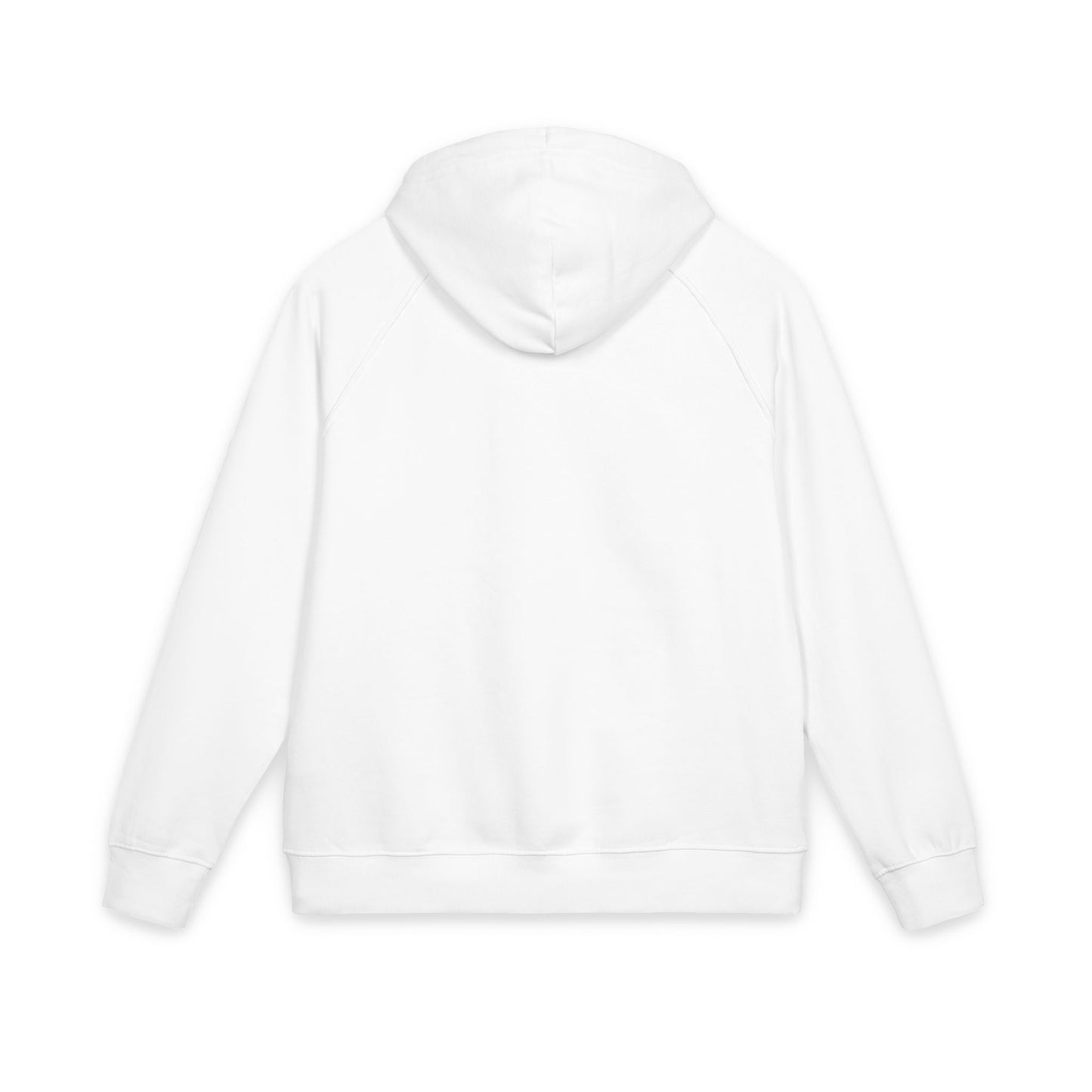 FLOYD STRONG Embroidered 'Plant Friend' Eco Raglan Hoodie